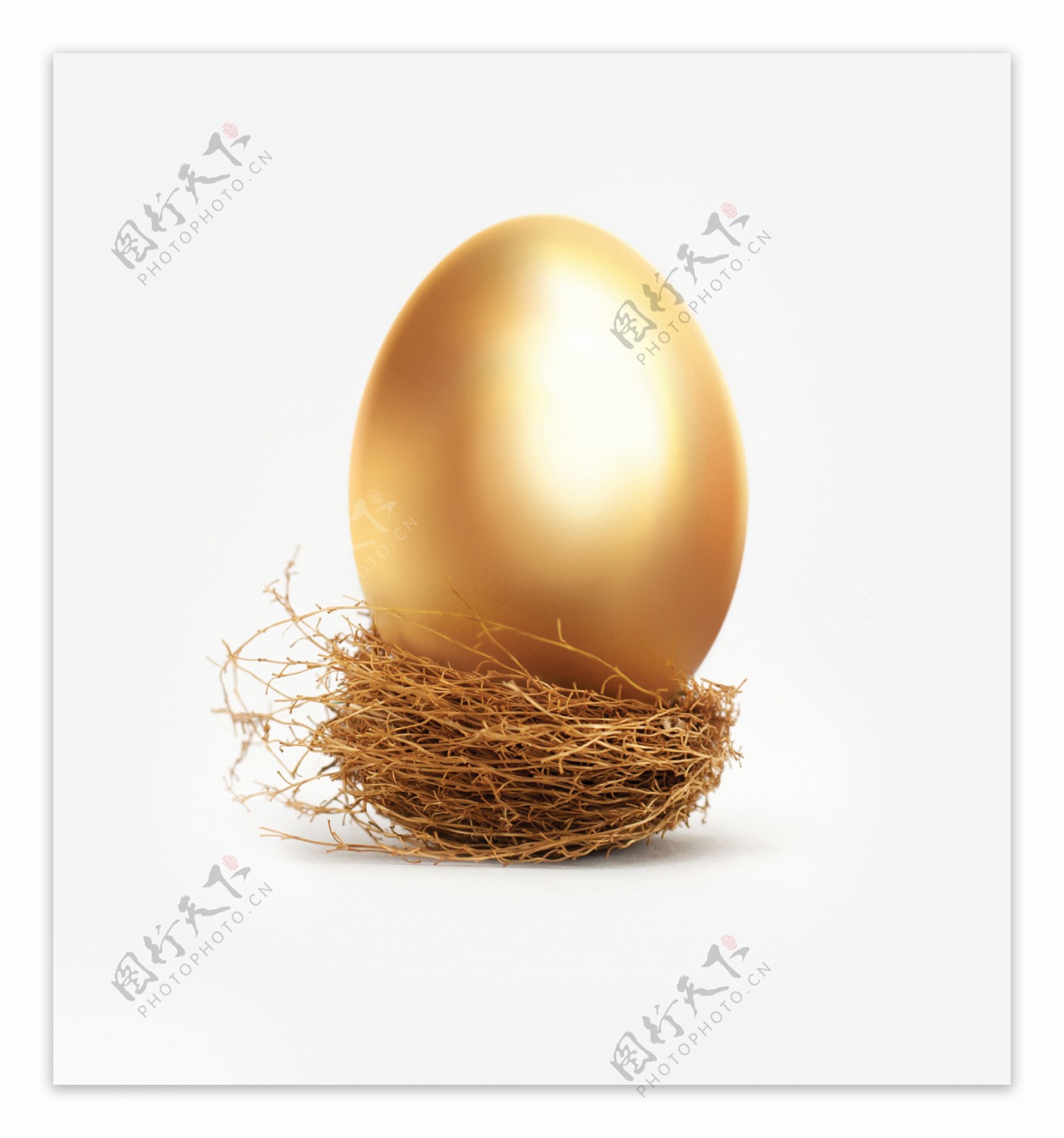 鸟巢里的金蛋图片