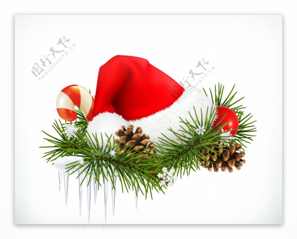 松枝上的红色圣诞帽矢量