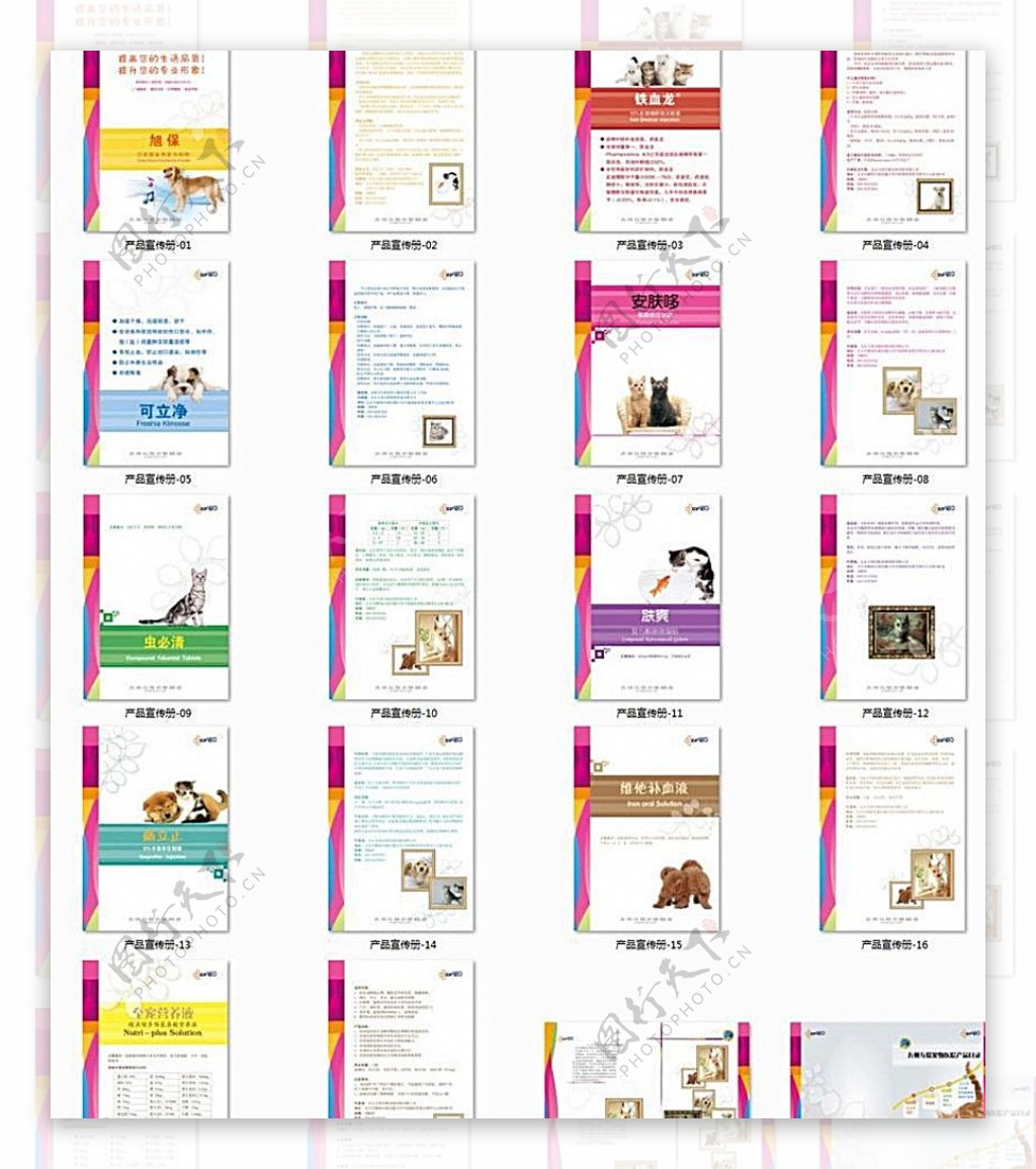 宠物系列产品宣传页图片