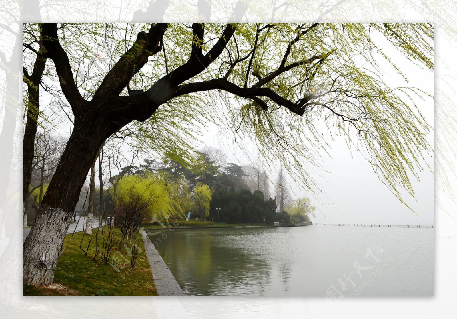 南京玄武湖公园风景