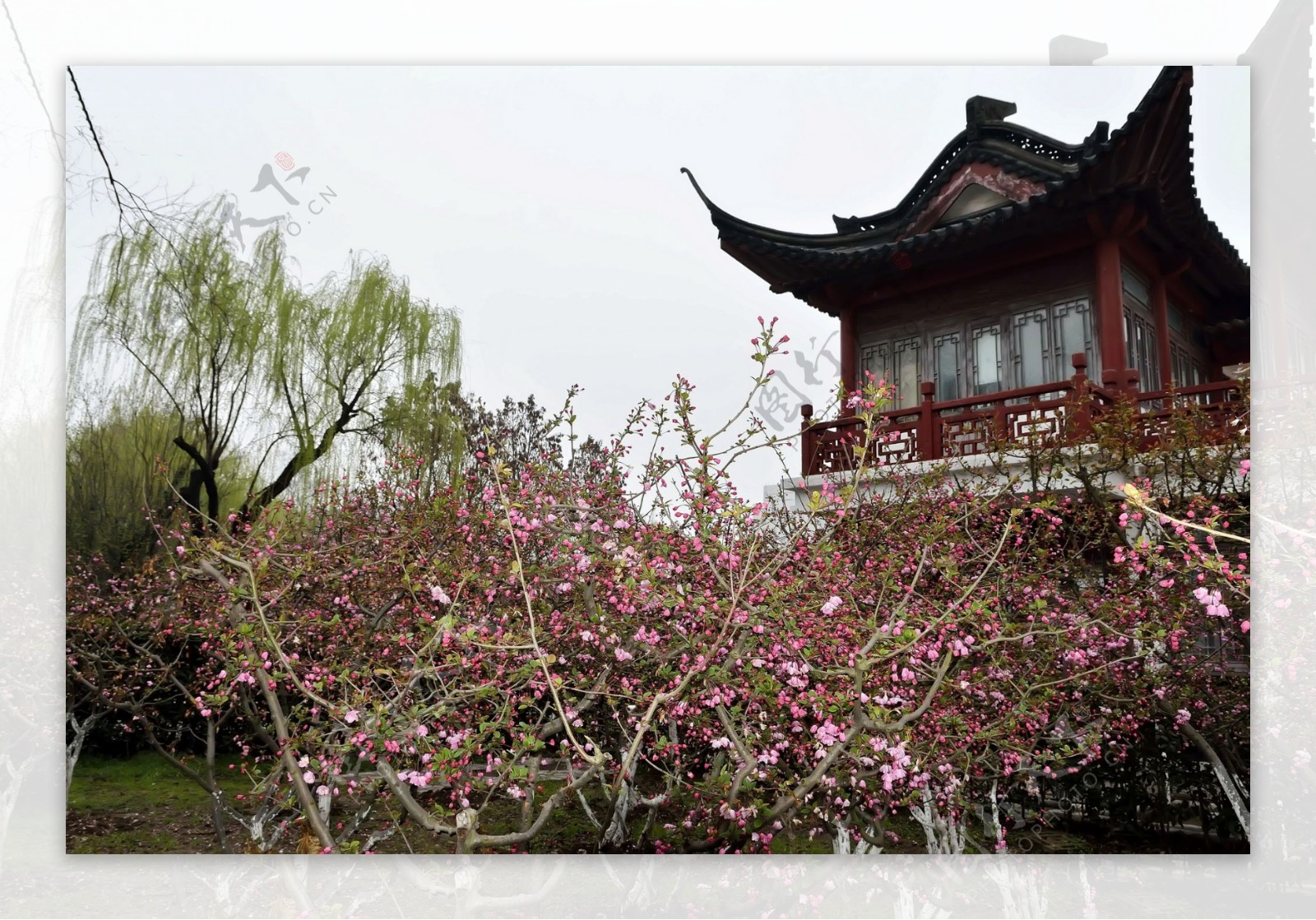 南京莫愁湖风景