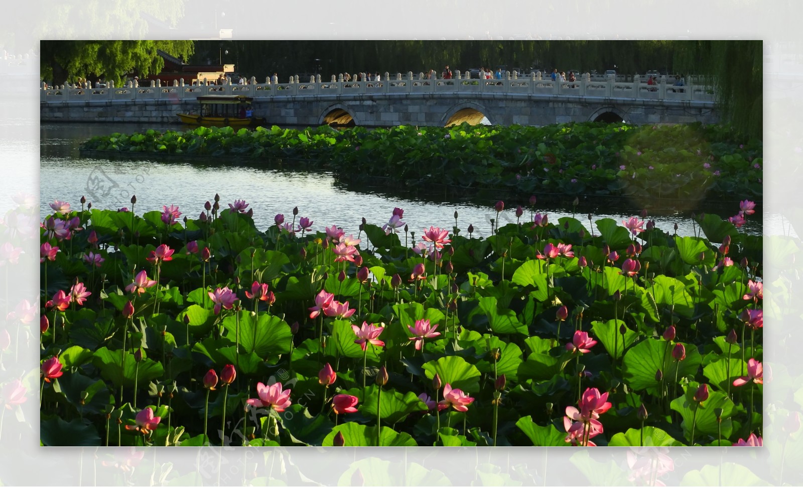 北京北海公园风景