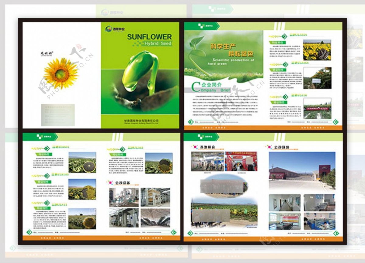 绿色种子企业画册设计模板