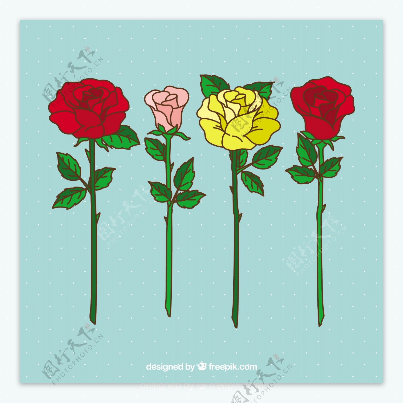 漂亮的手绘彩色玫瑰