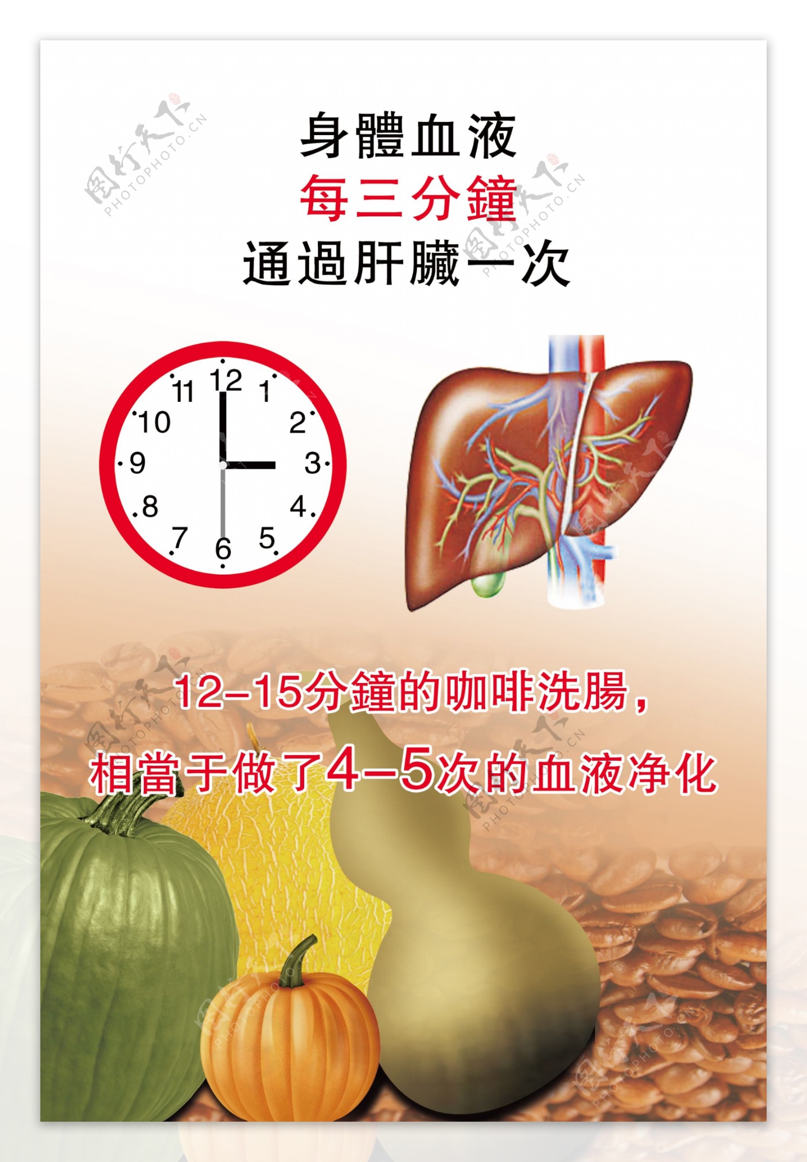肝脏海报图片