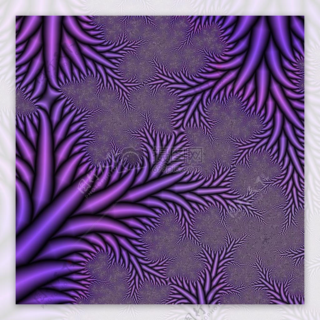 紫色的花纹图案