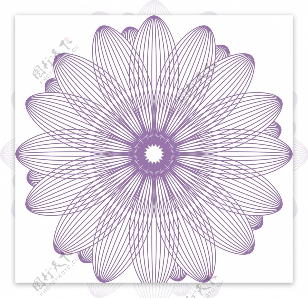 团花线条花紫色环形