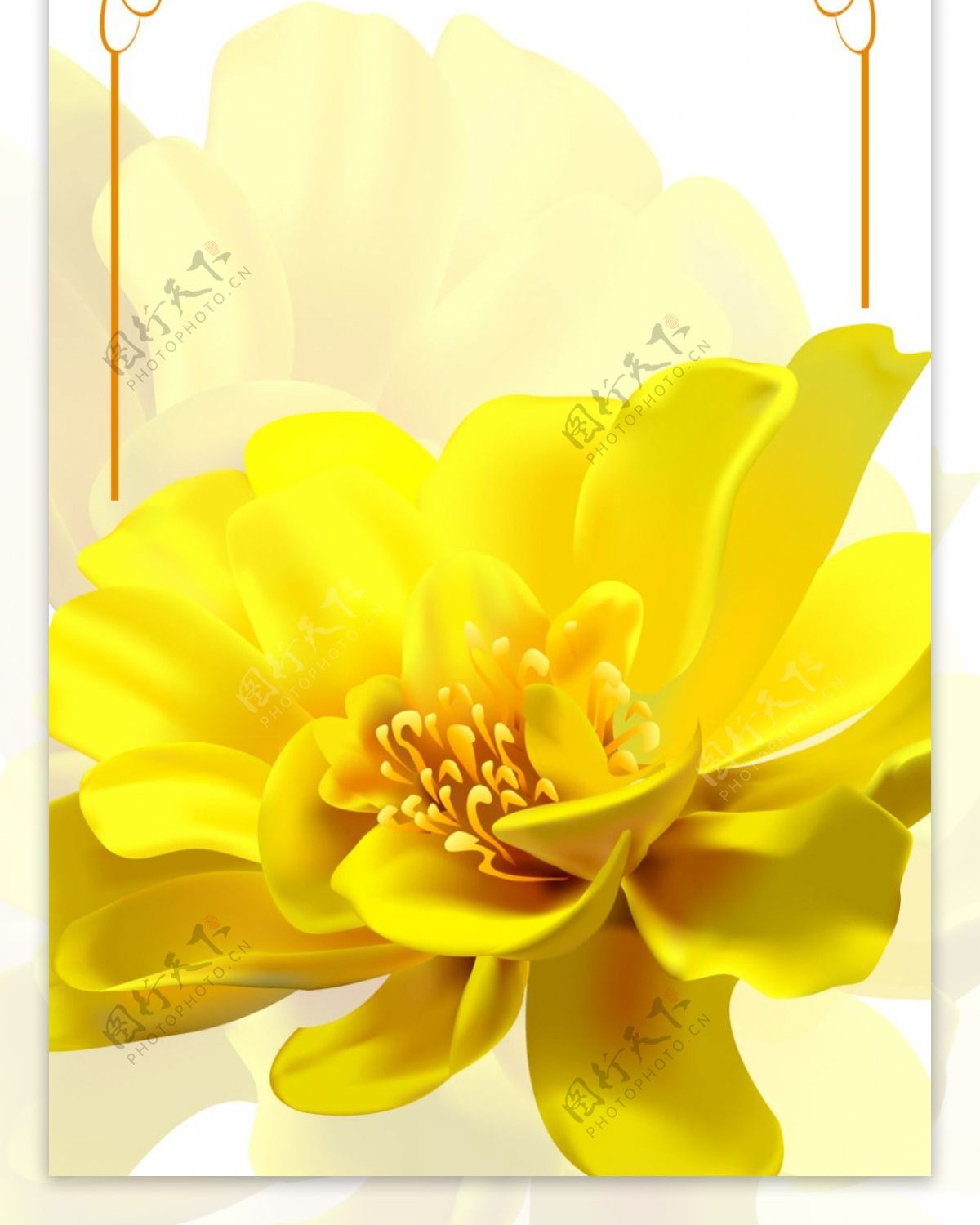 精美黄色花儿展架设计模板素材画面设计海报