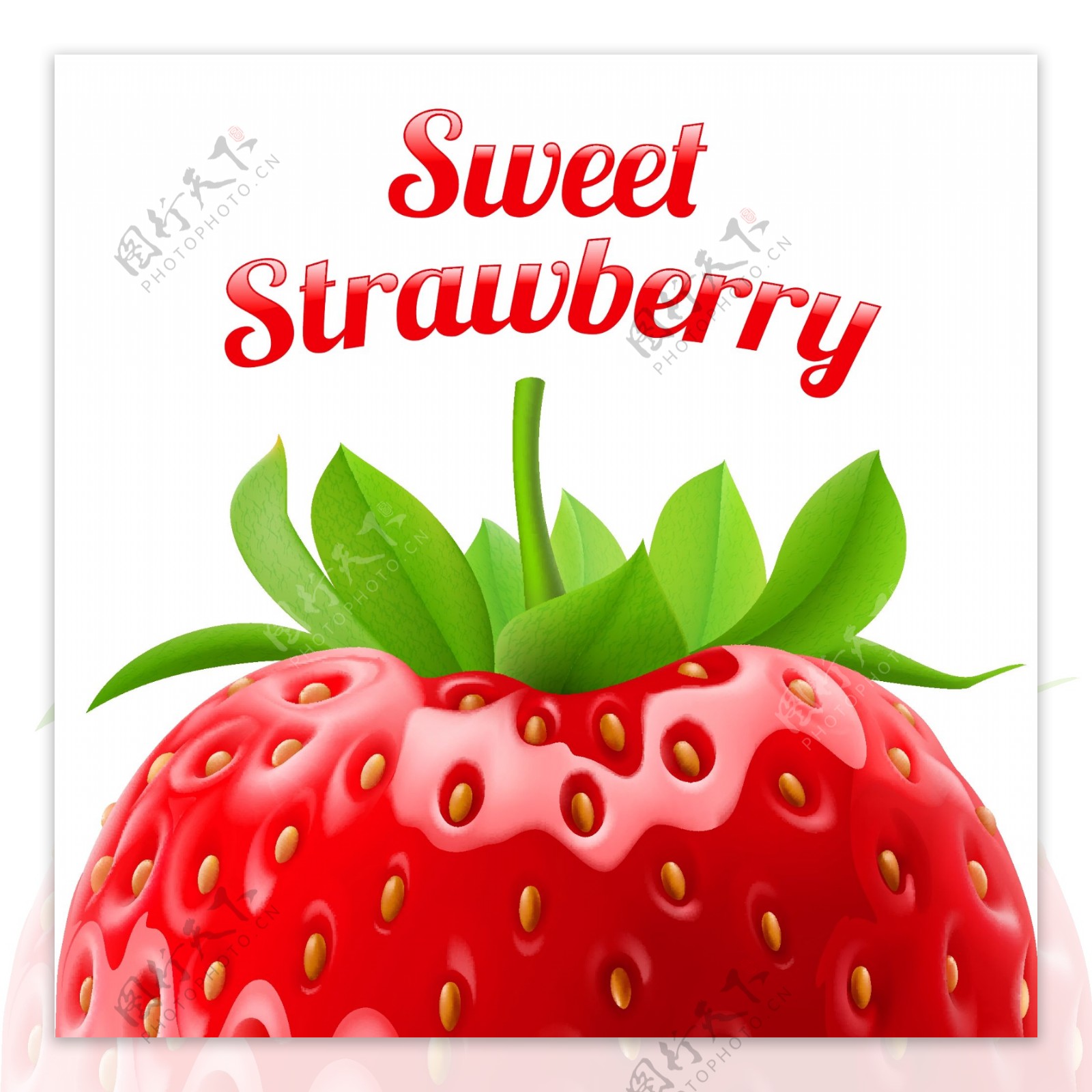 美味新鲜草莓矢量图