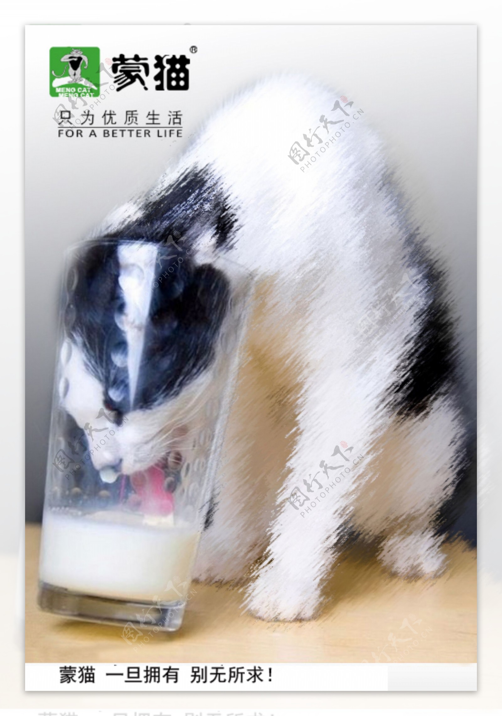 创意宠物饮品系列蒙猫牛奶