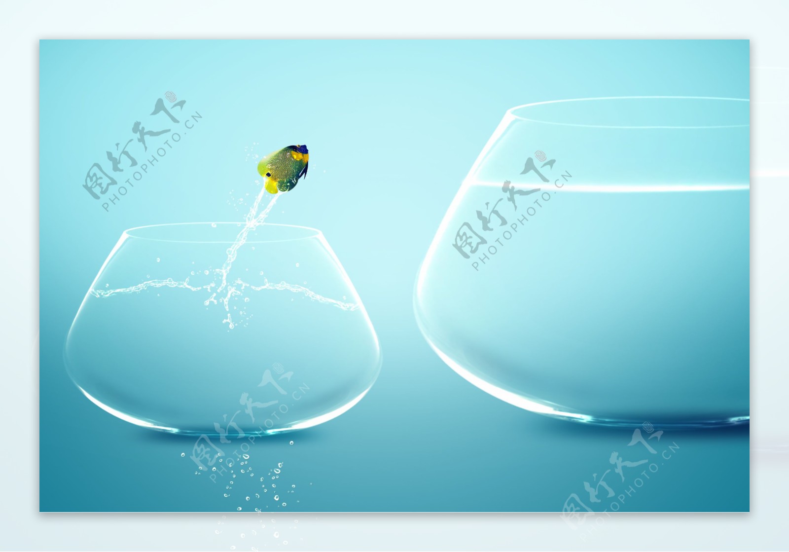鱼缸与鱼绿色背景图片