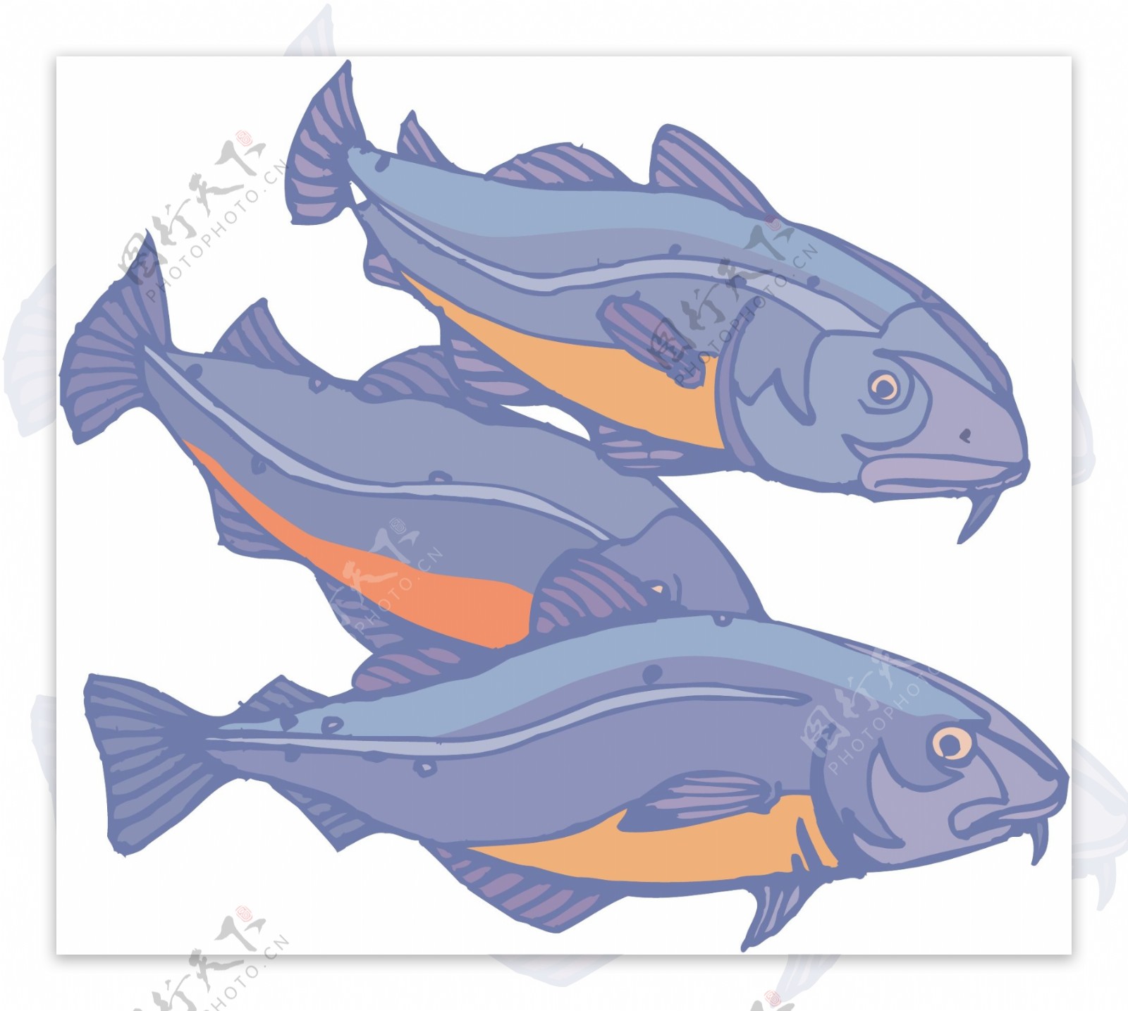 五彩小鱼水生动物矢量素材EPS格式0161