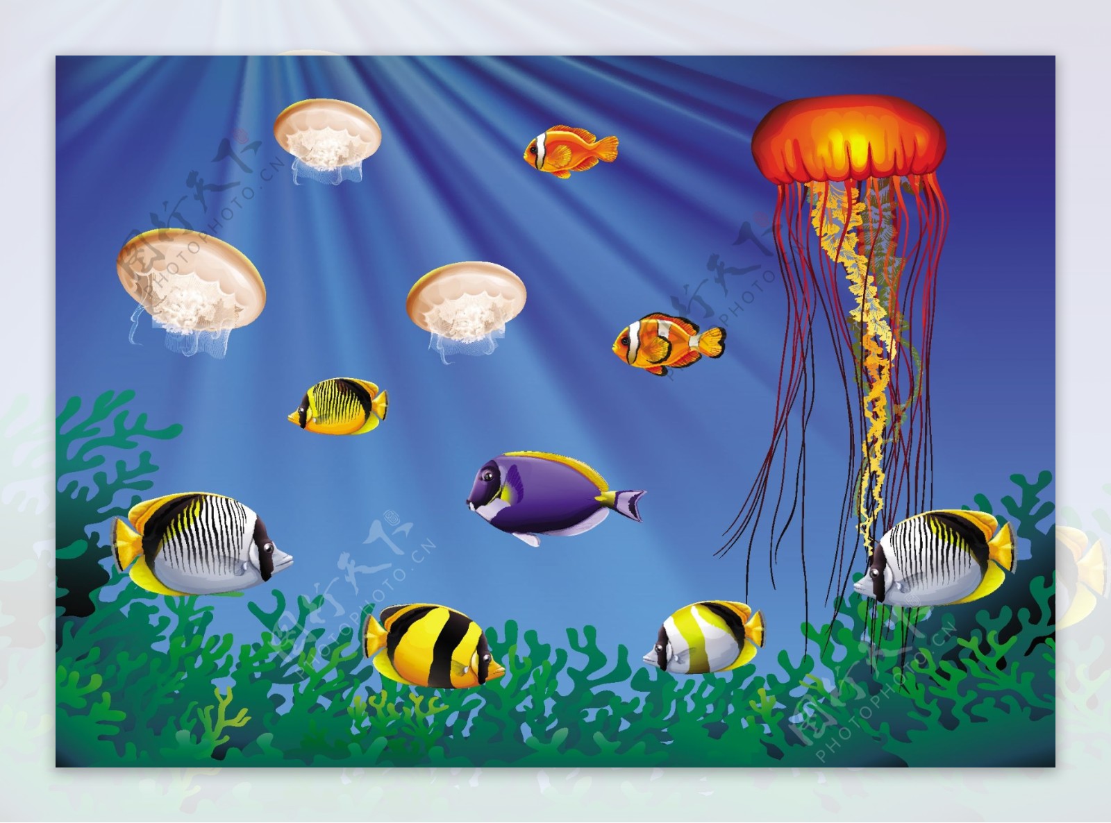 海中游动的海洋动物插图