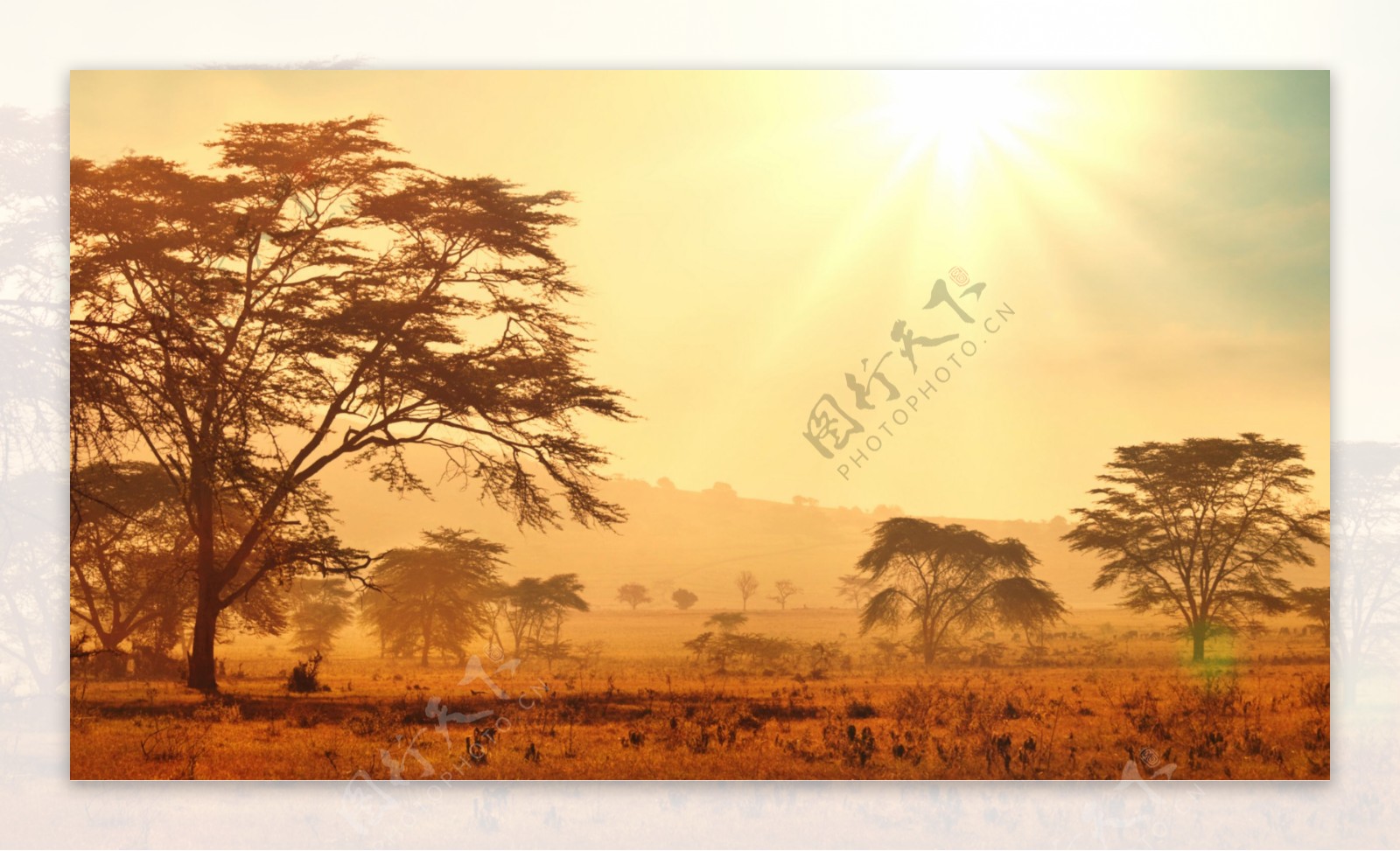 非洲的天然风光图片