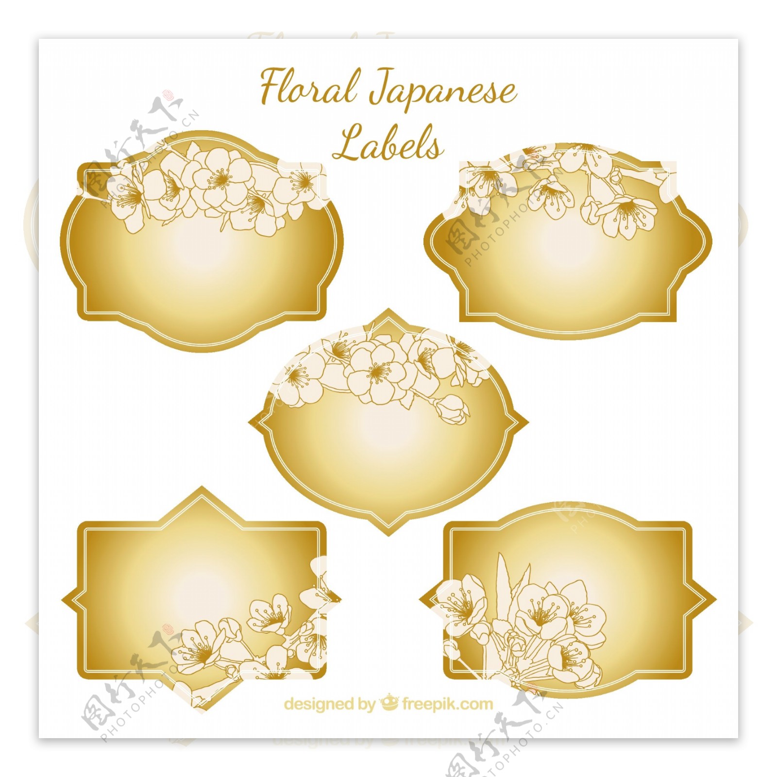 黄金花卉日本标签