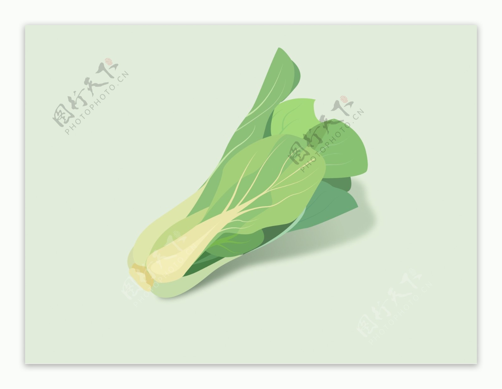 蔬菜图标插画