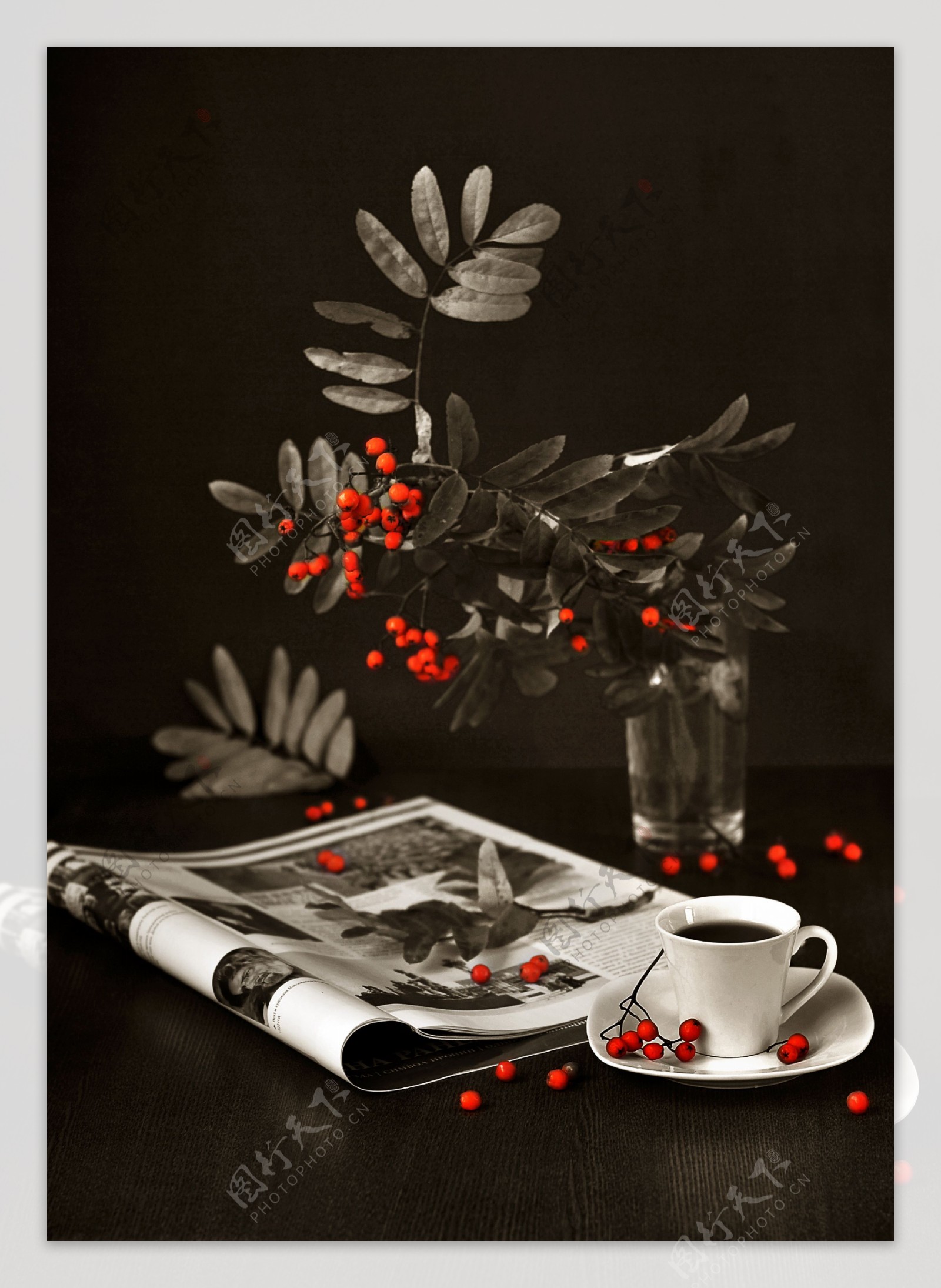 桌面上的杂志咖啡和植物图片