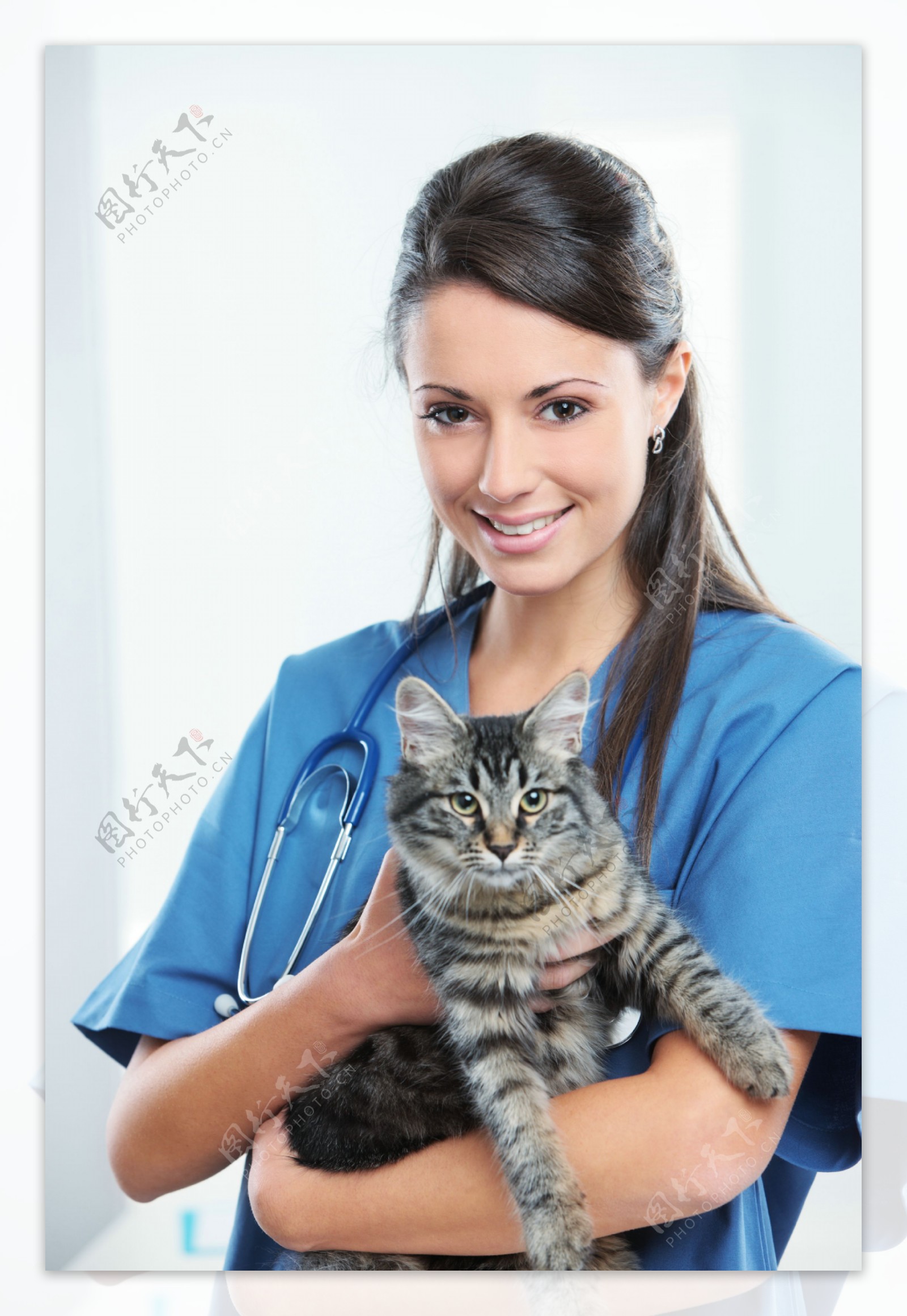 抱着小猫的宠物医生图片