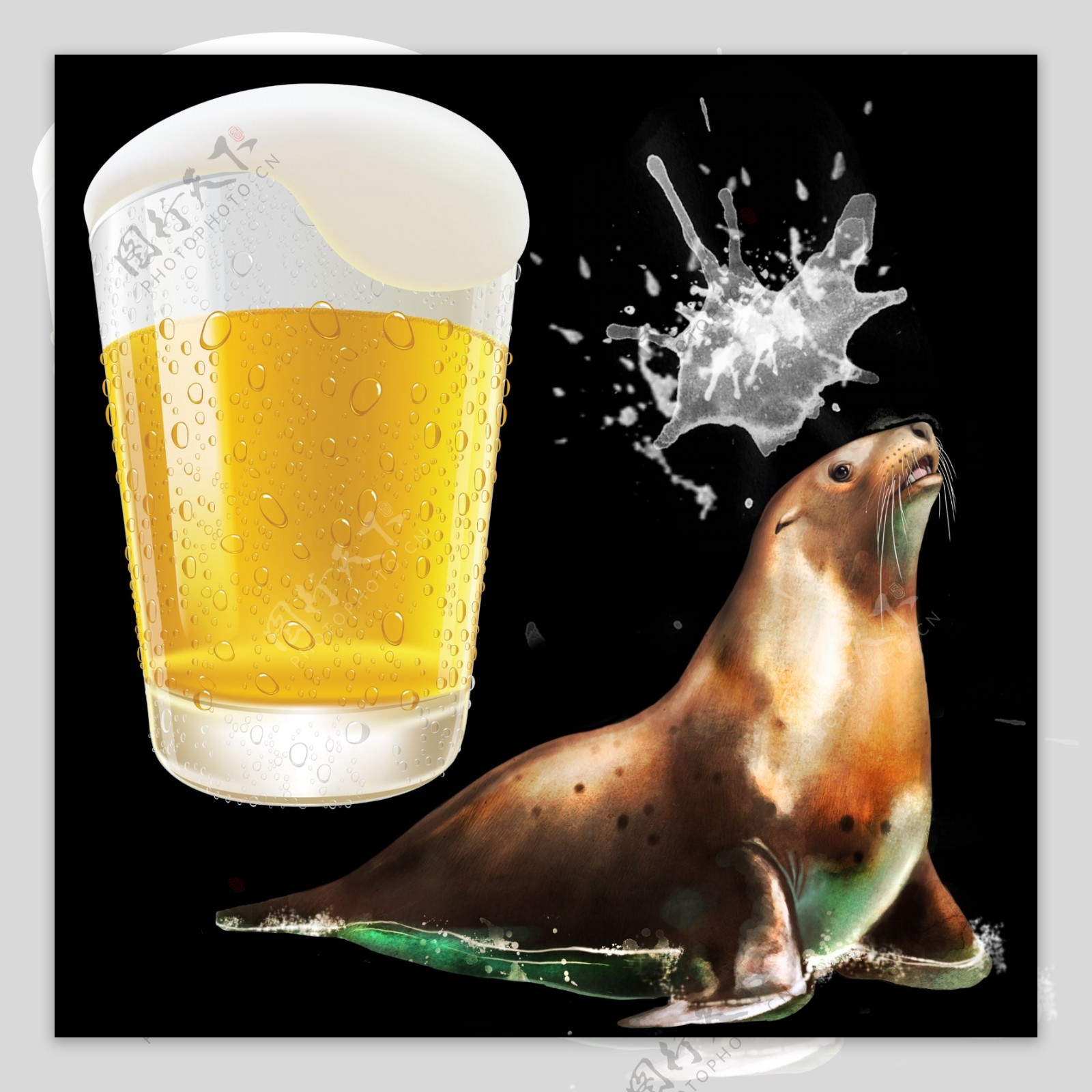 啤酒杯海狮水花