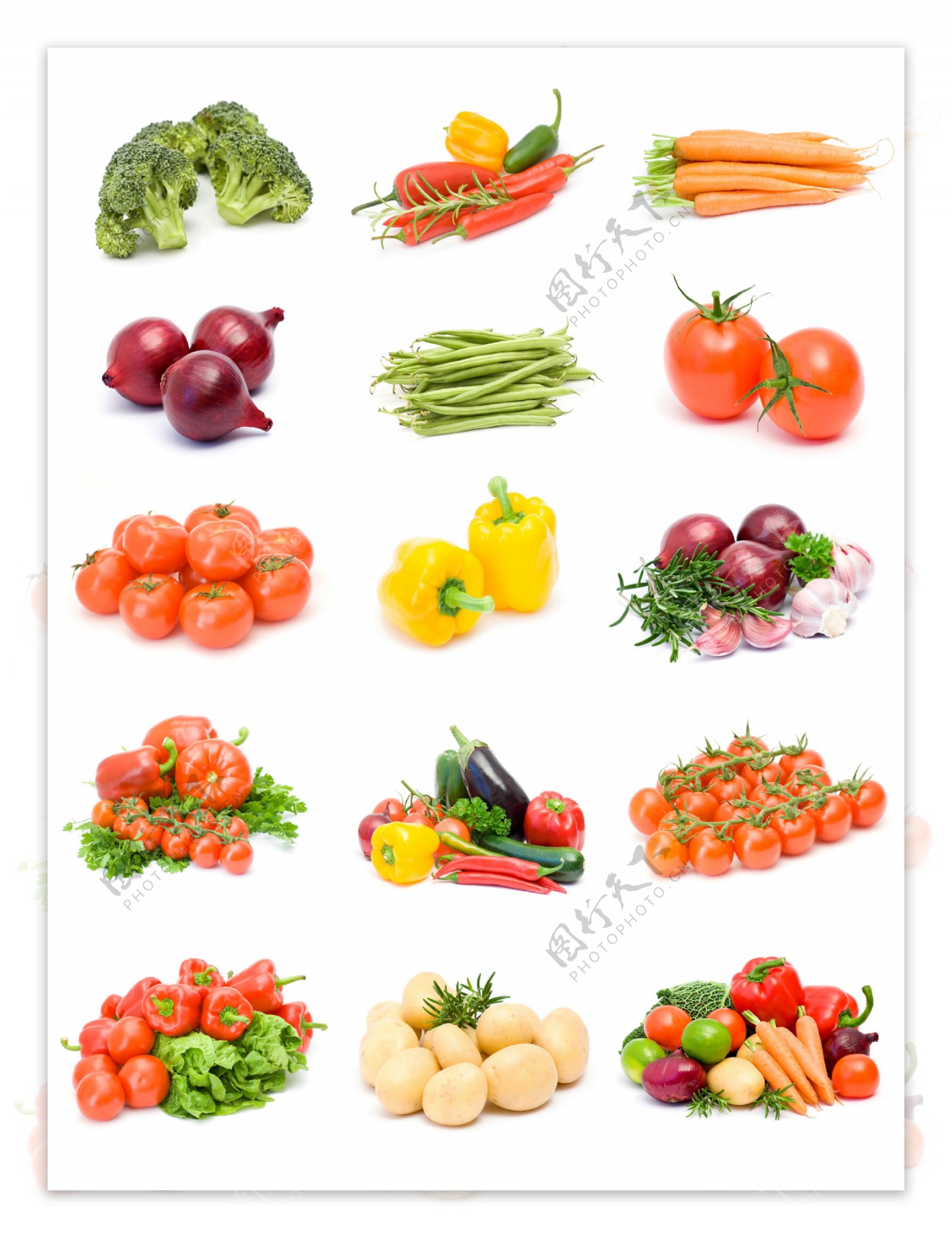 蔬菜大全图片_生物静物_设计元素-图行天下素材网