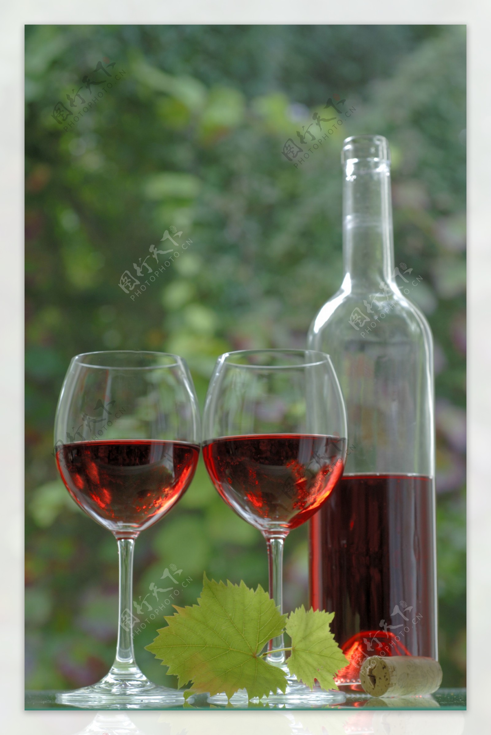 葡萄园与葡萄美酒摄影图片