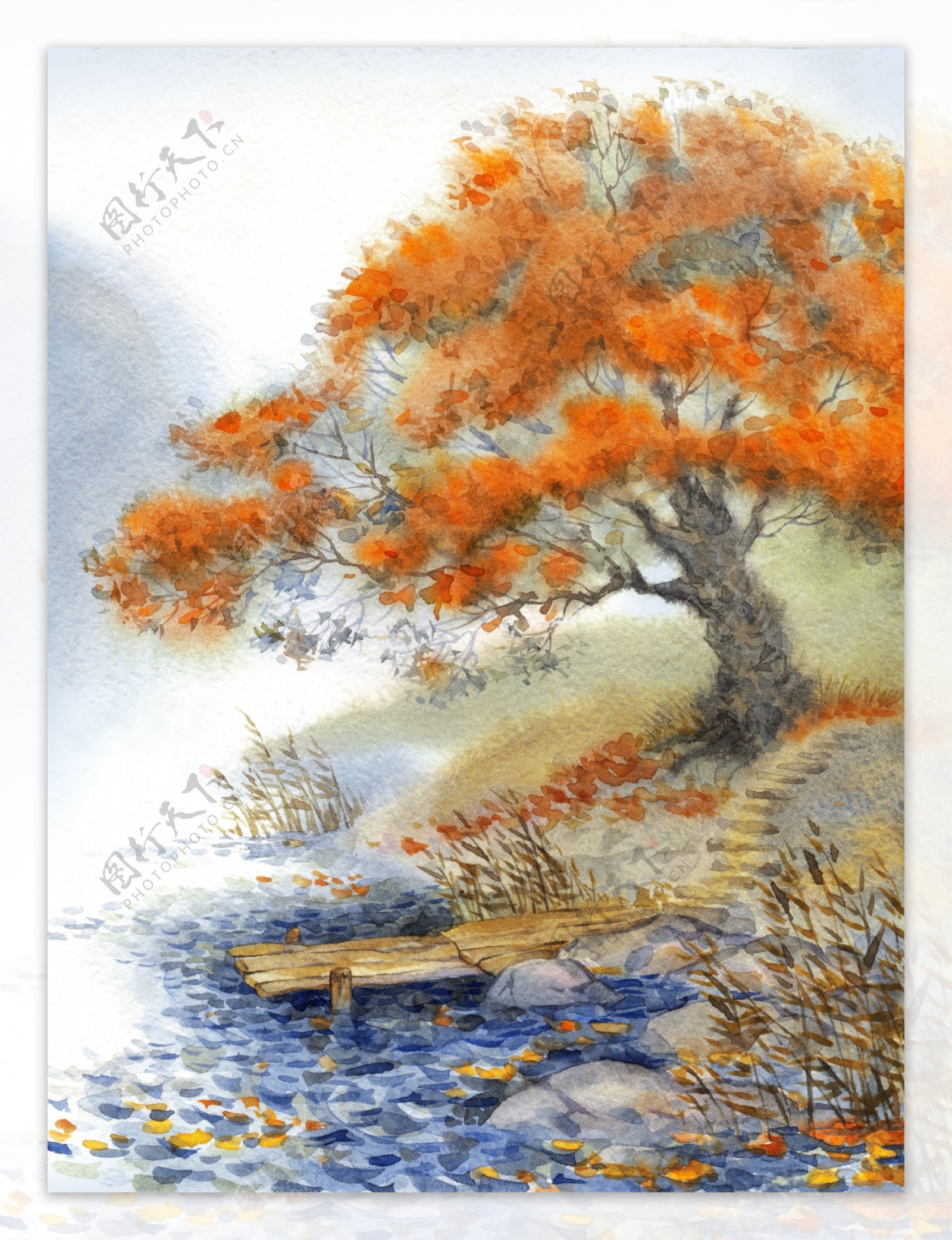 秋天树木水彩画