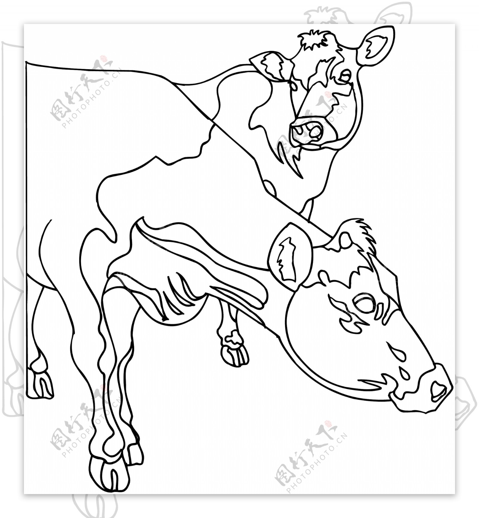 牛家禽家畜矢量素材eps格式0065