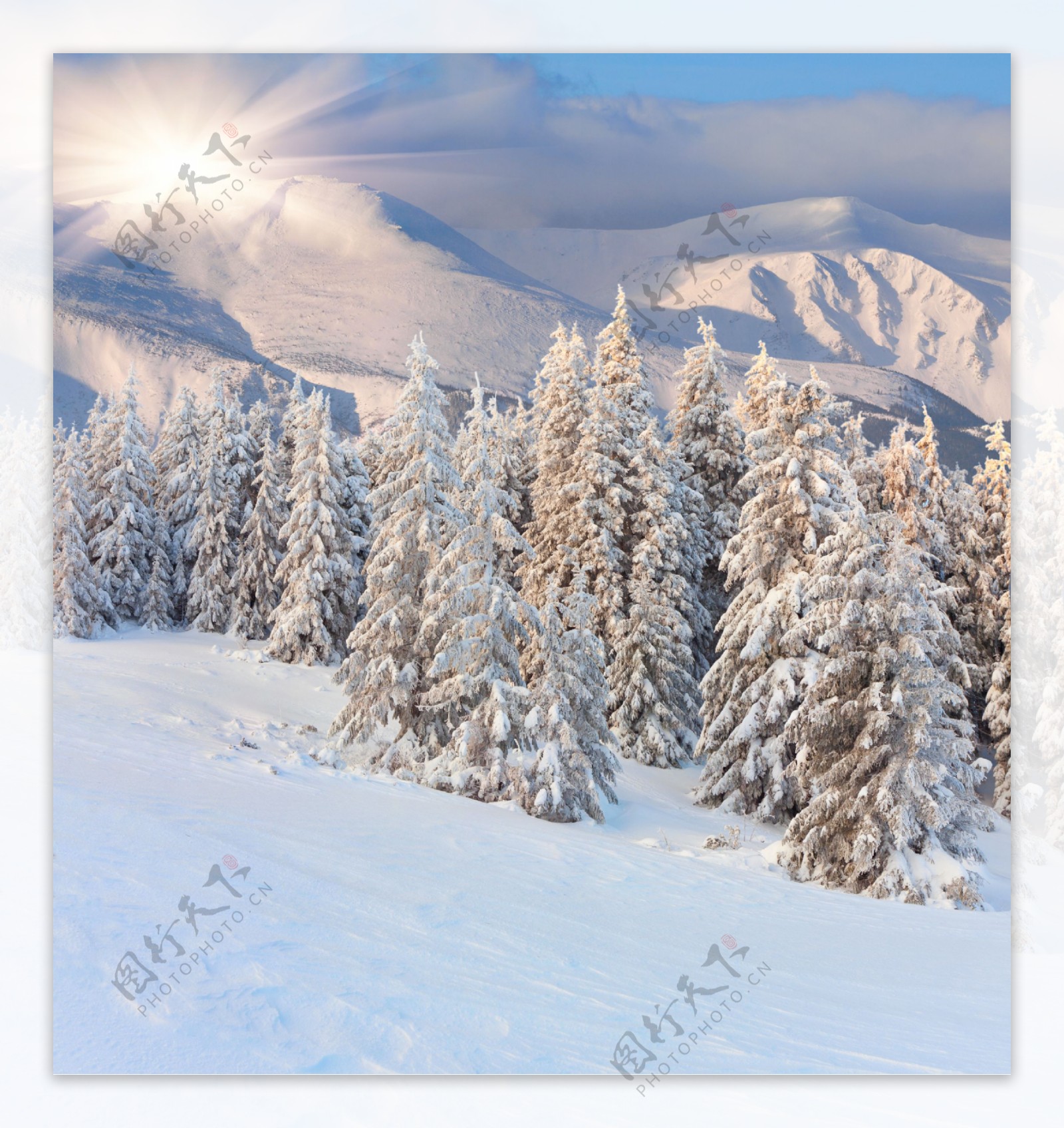 高清雪景