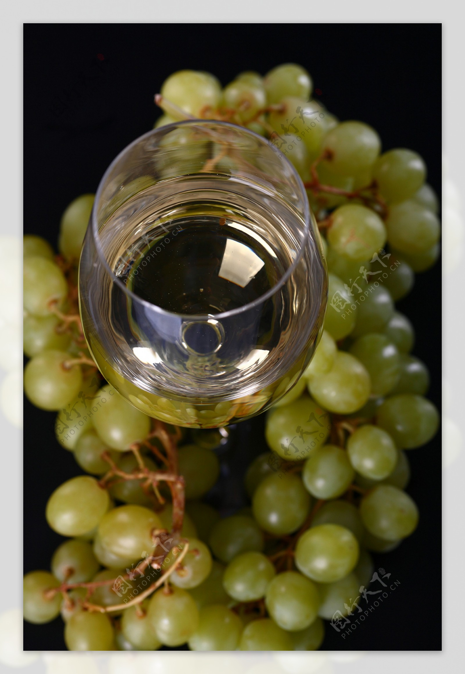 青葡萄里的葡萄酒图片