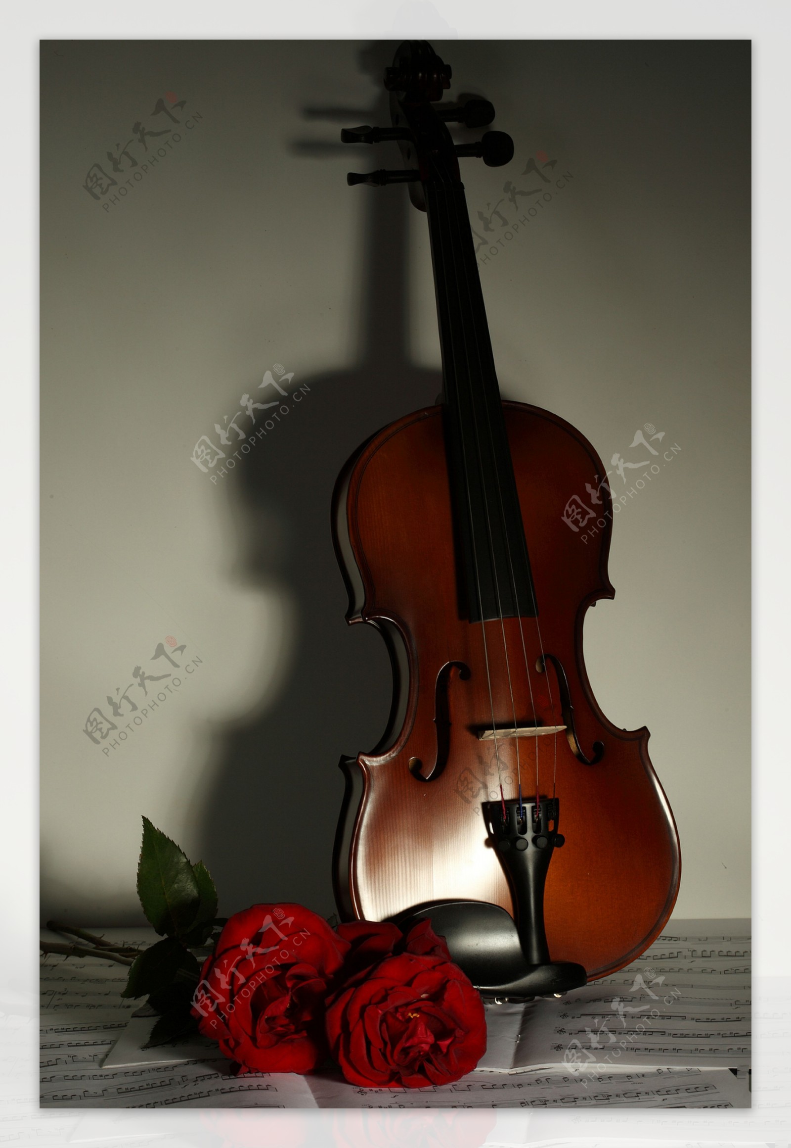 小提琴花朵五线谱图片