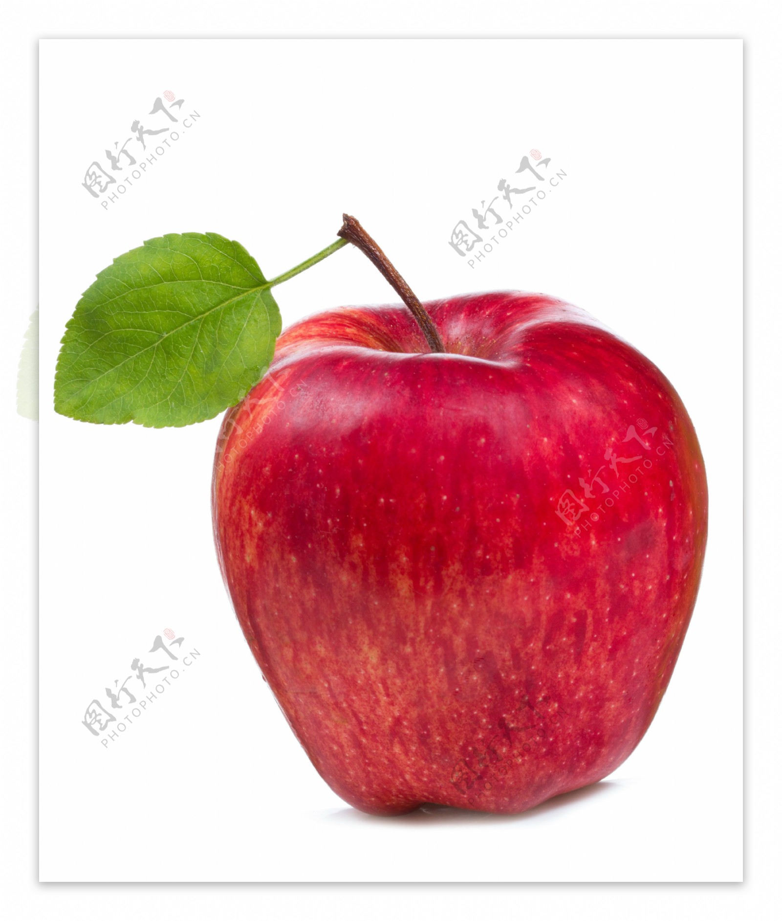高清红红大苹果图片