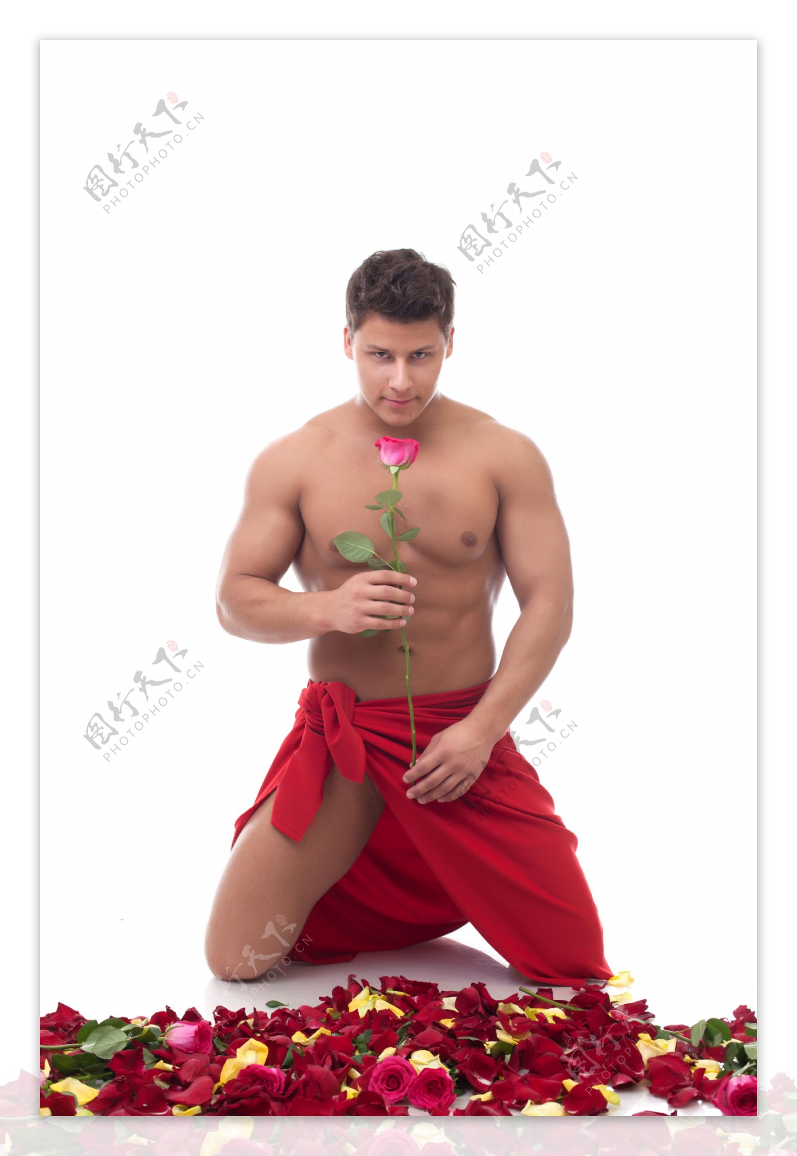 跪在地上手拿玫瑰的男人图片