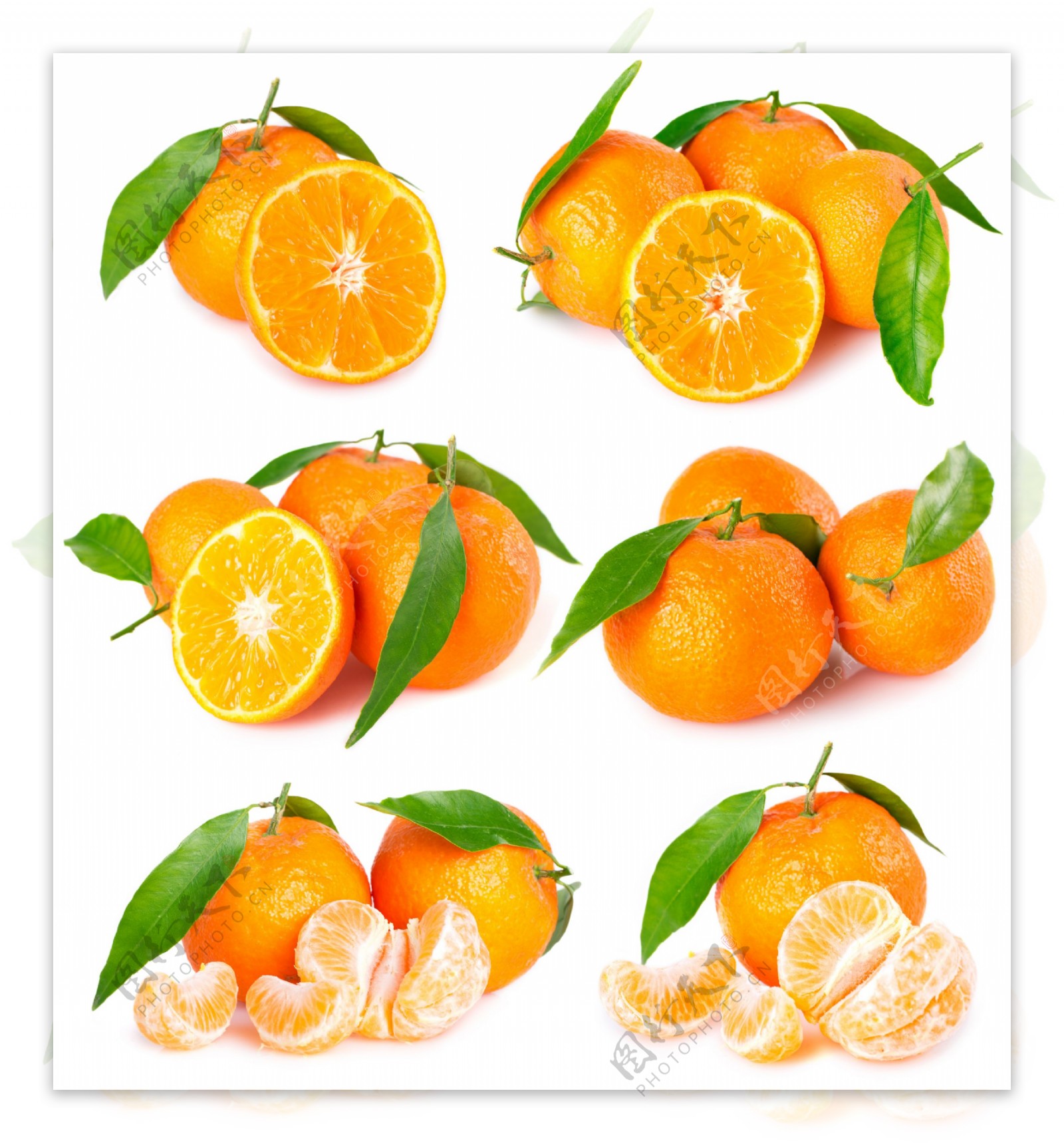 高清橙子摄影