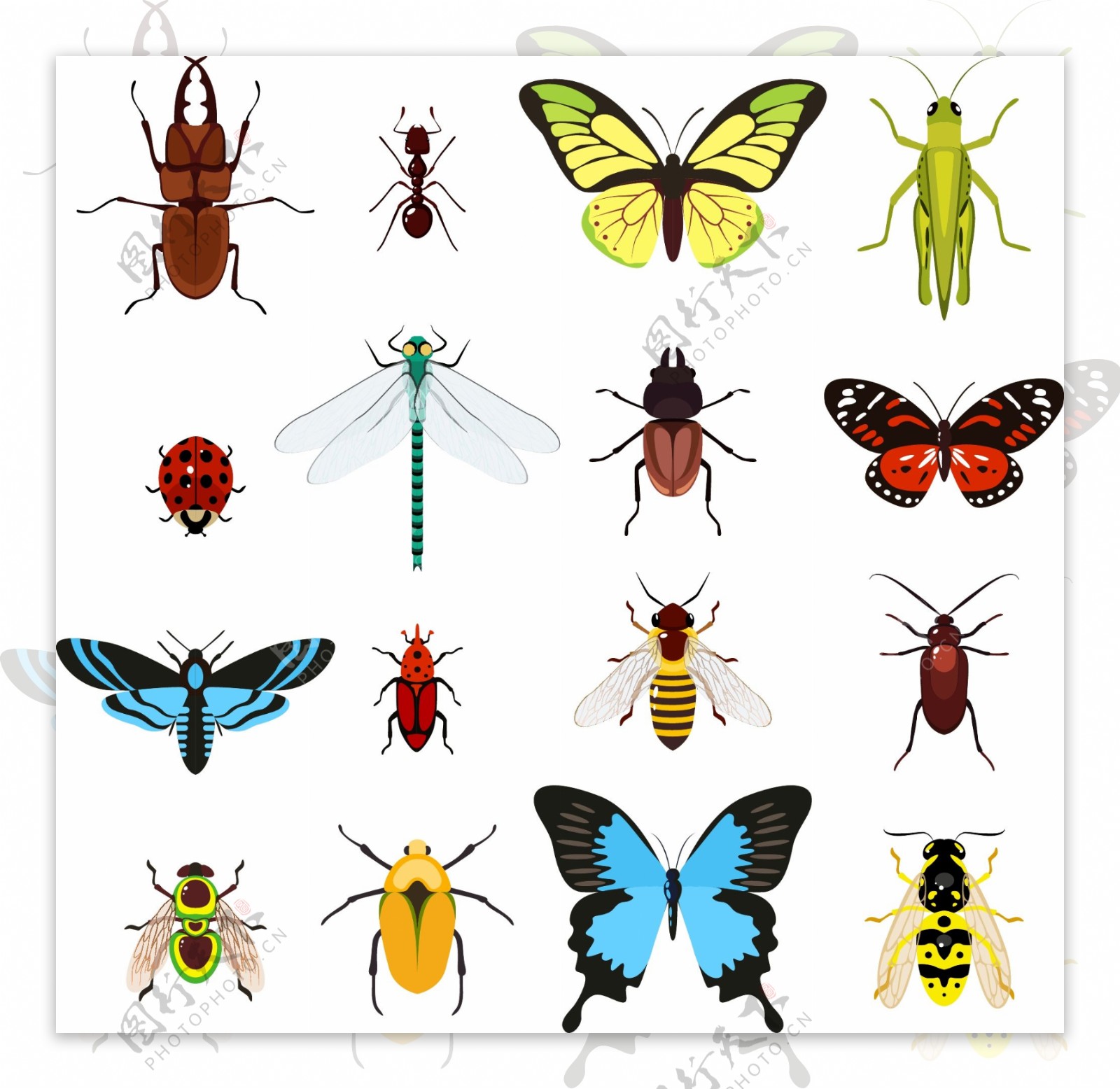你认识多少种昆虫？1200多种昆虫，开启孩子昆虫探索之旅 - 知乎