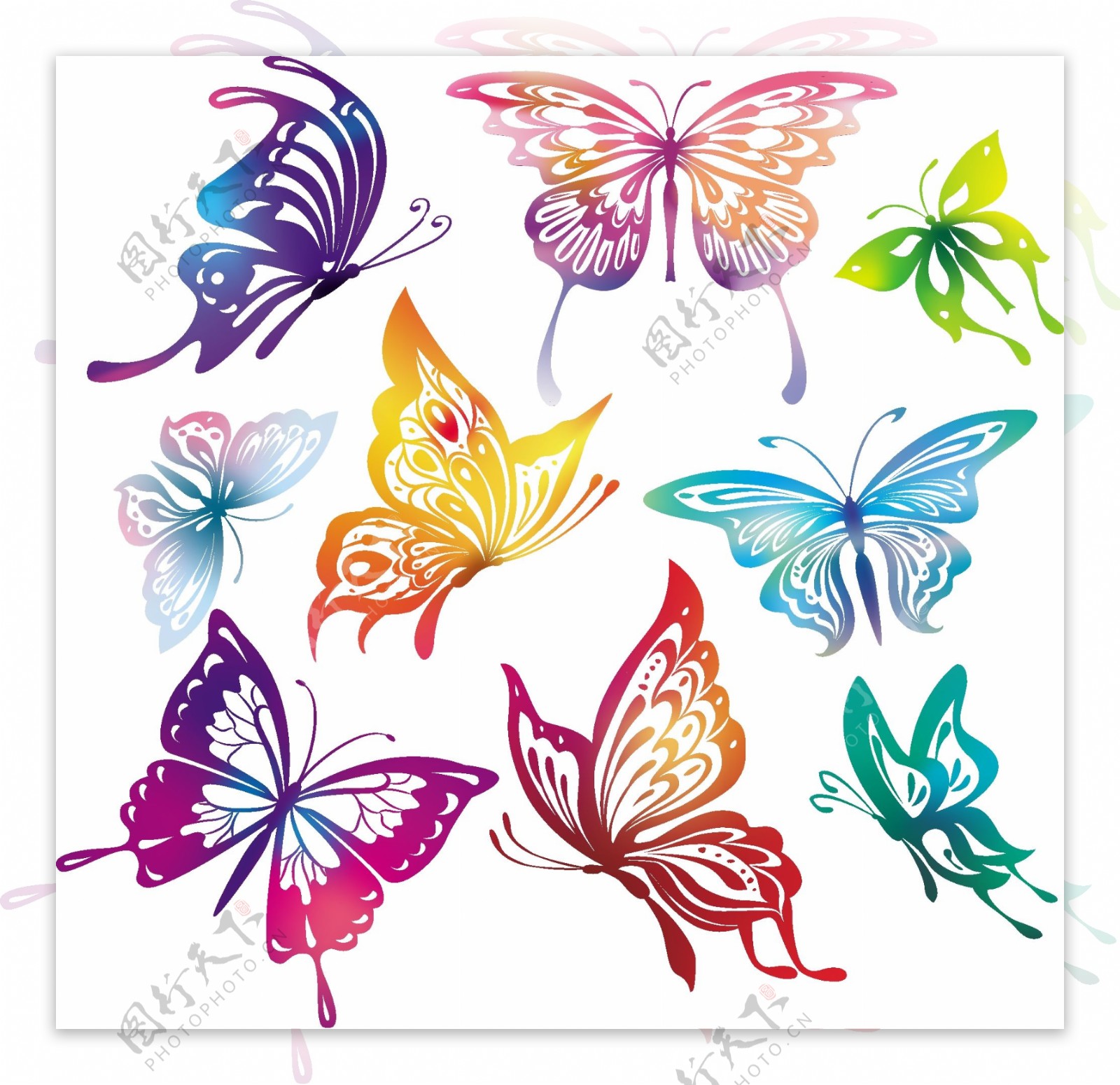 五颜六色的蝴蝶图标矢量