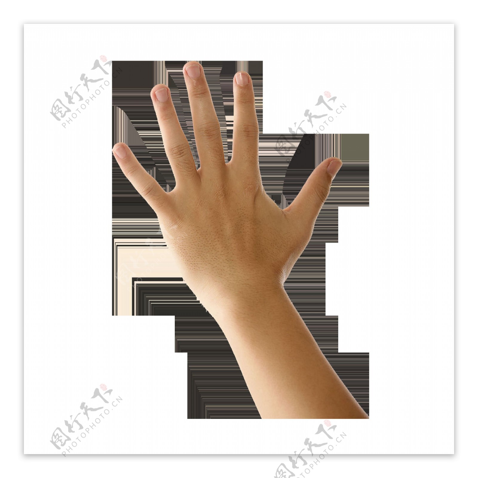 3D立体手掌元素