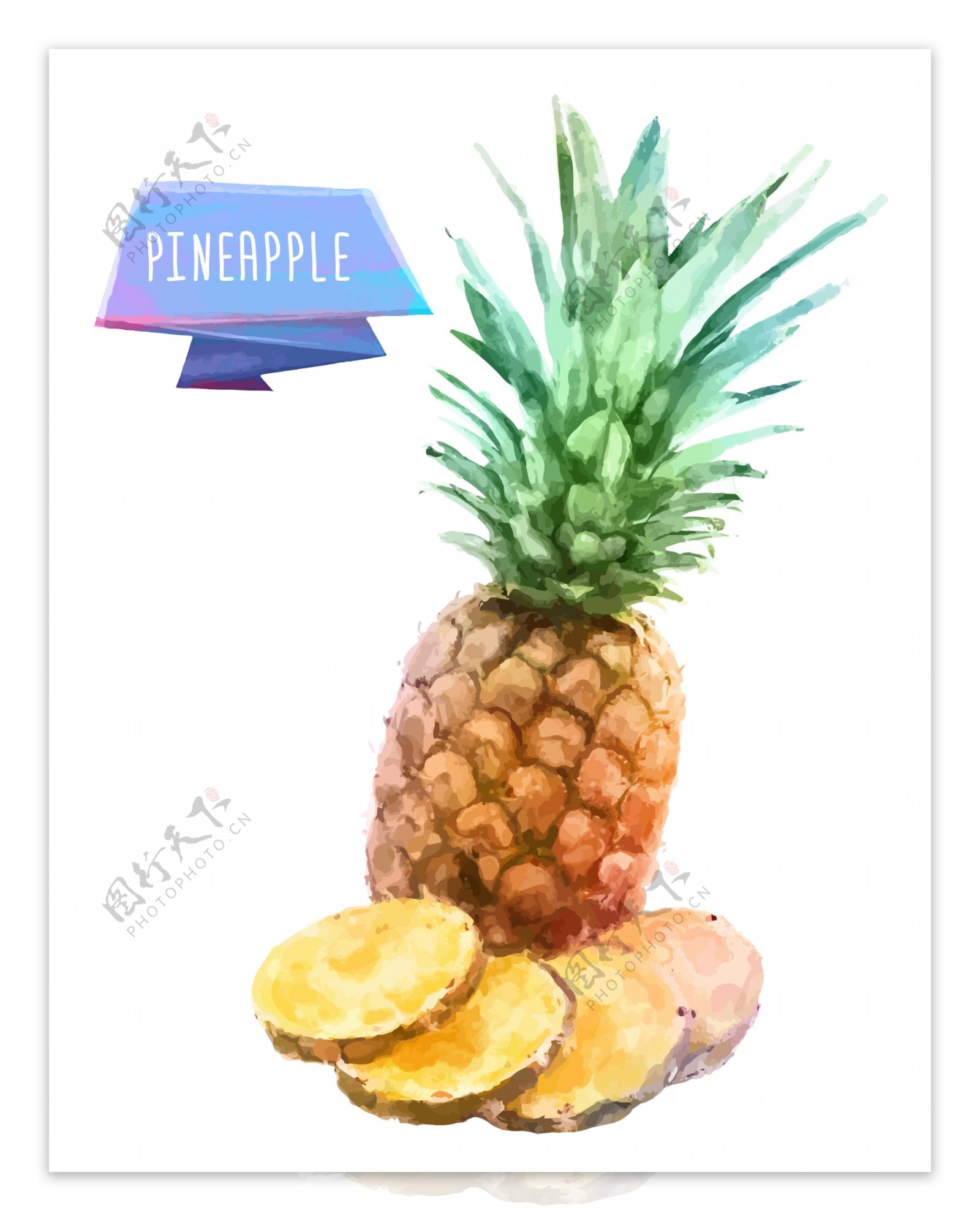 菠萝水果水彩矢量素材图片