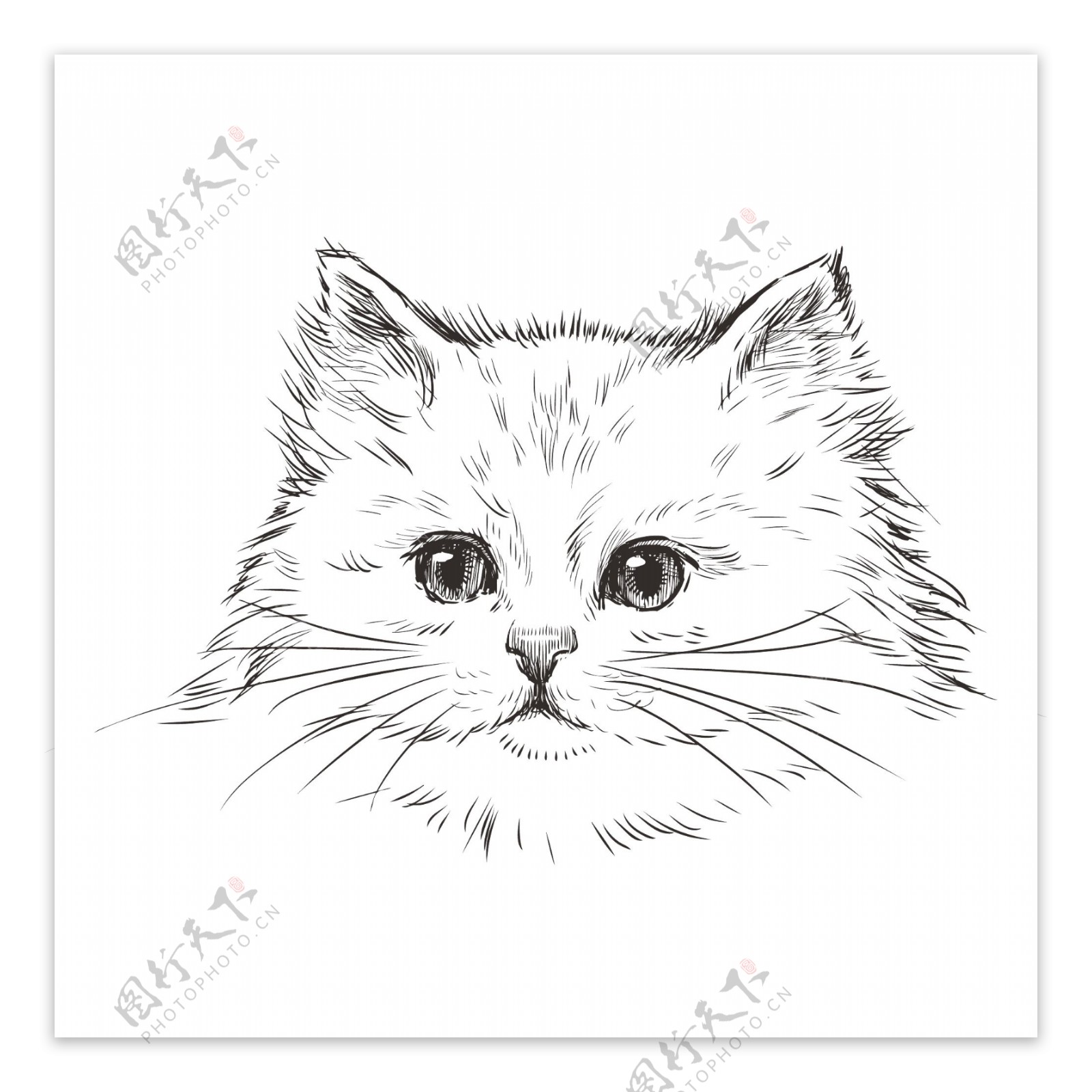 卡通矢量黑白手绘可爱猫商业装饰图案元素