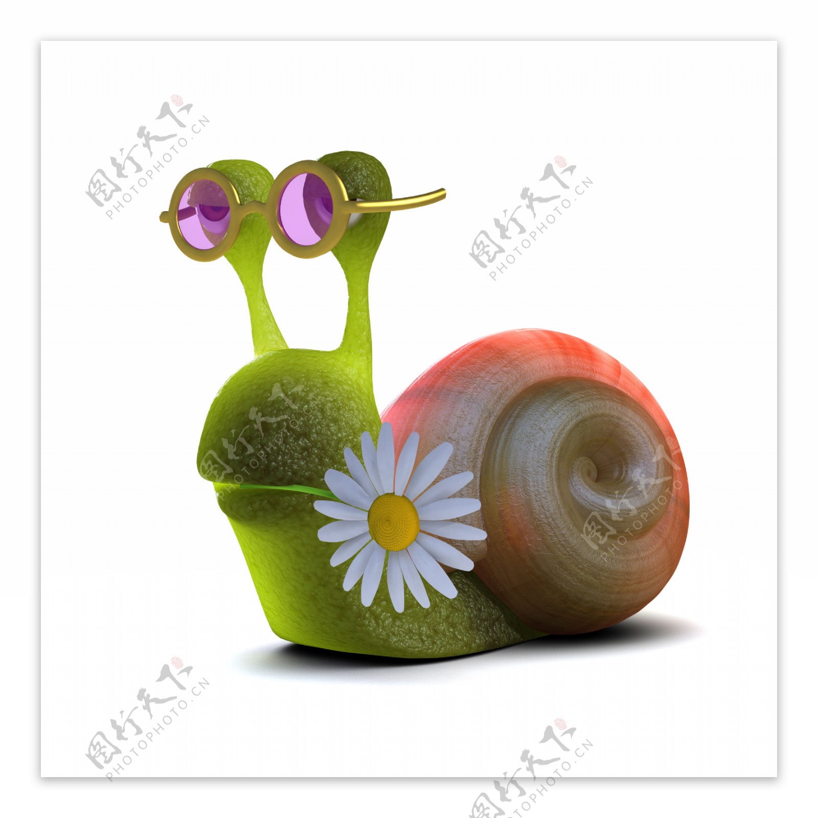 花朵与蜗牛图片
