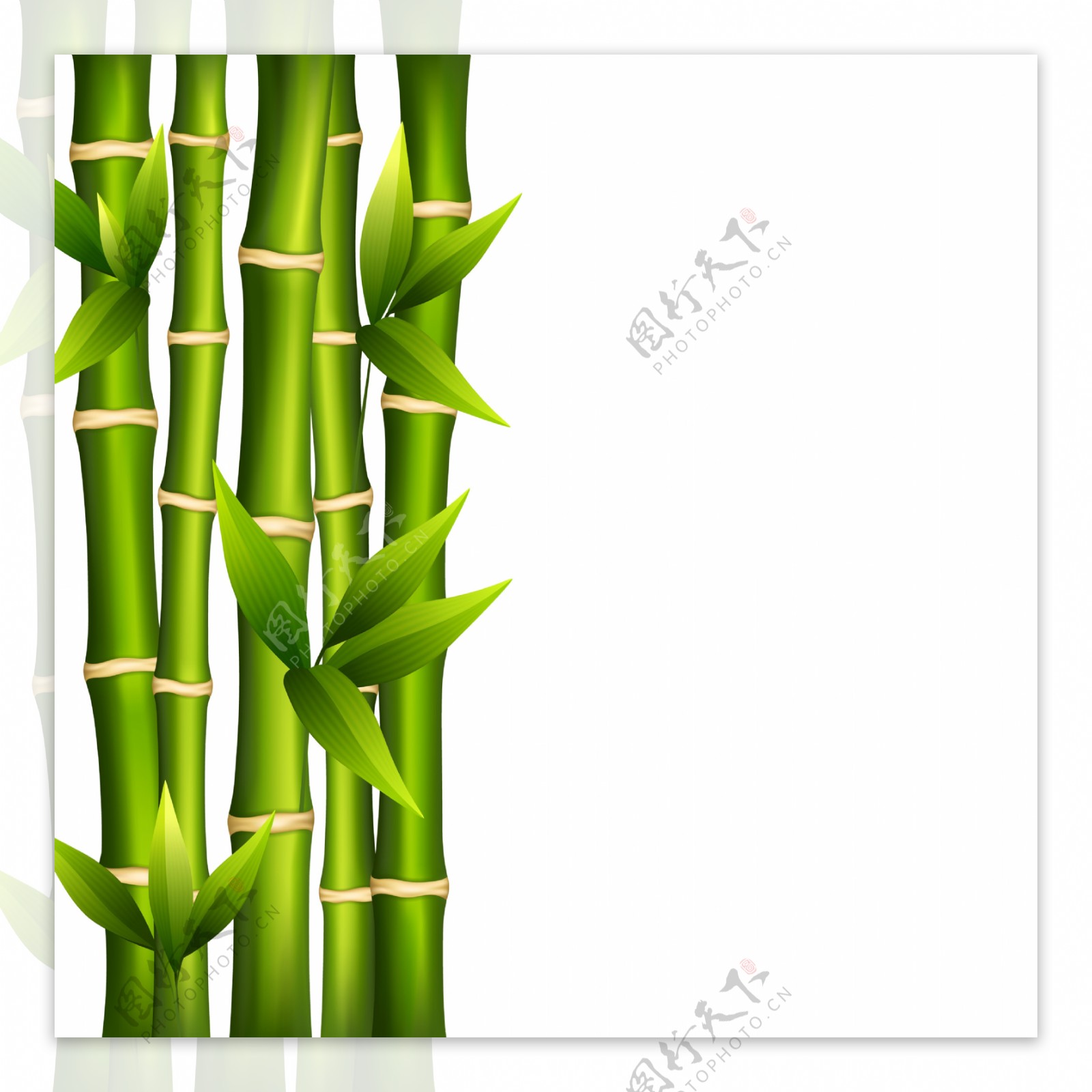 绿竹背景边框图片