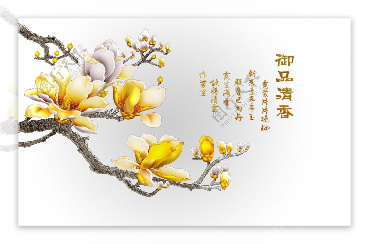 中国风玉兰花海报设计