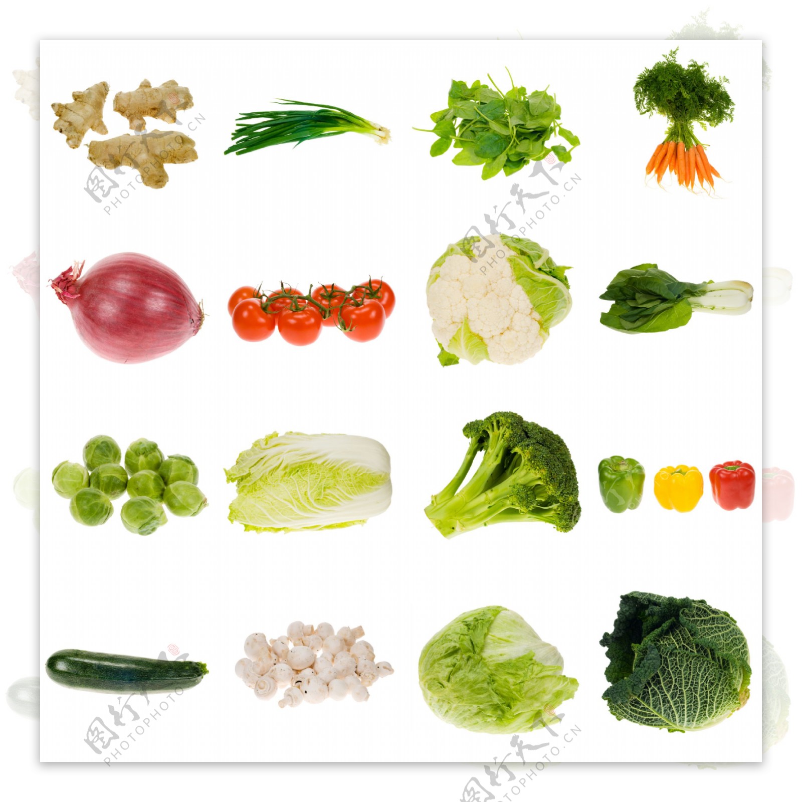 绿色蔬菜图片素材大全