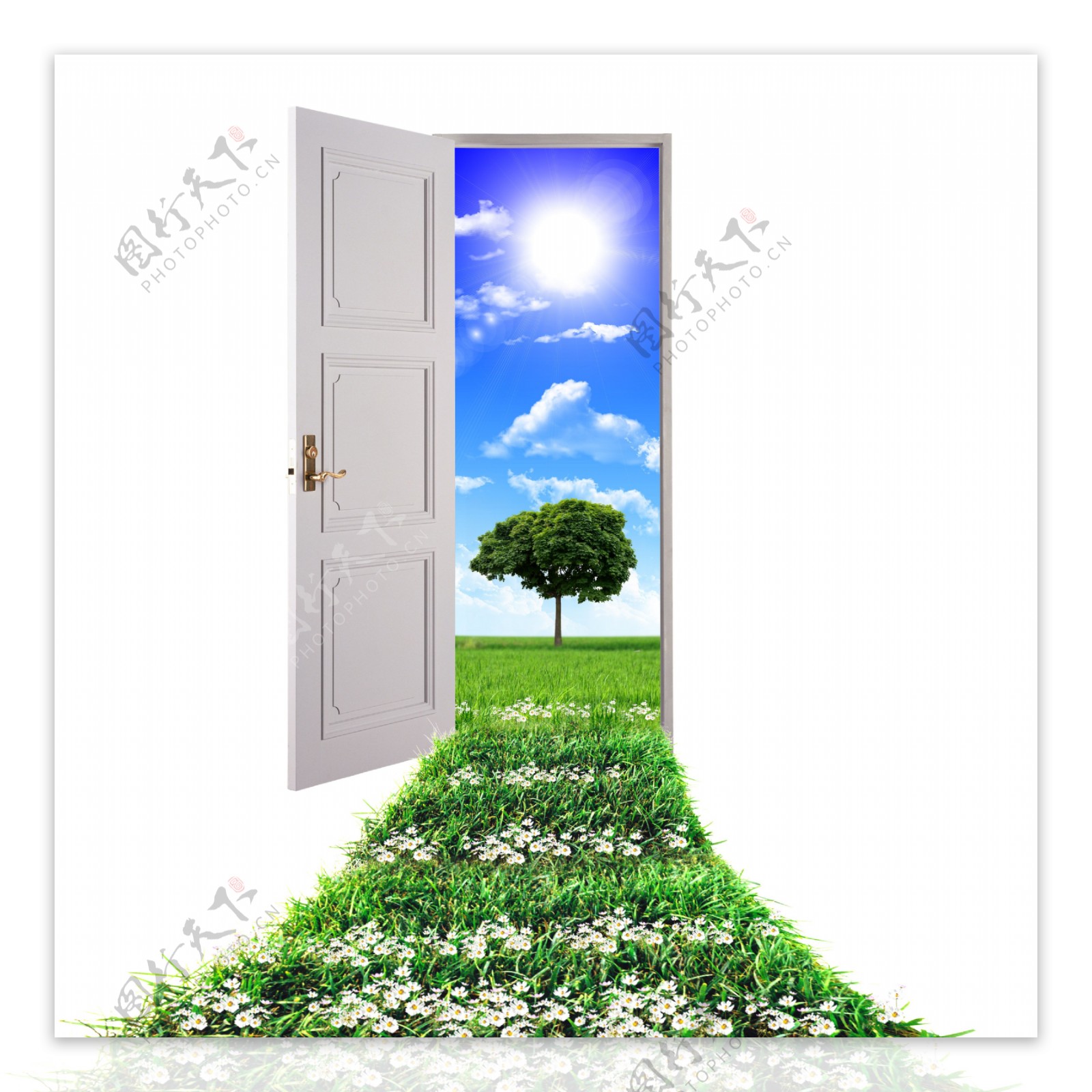 敞开的门与鲜花草地风景图片