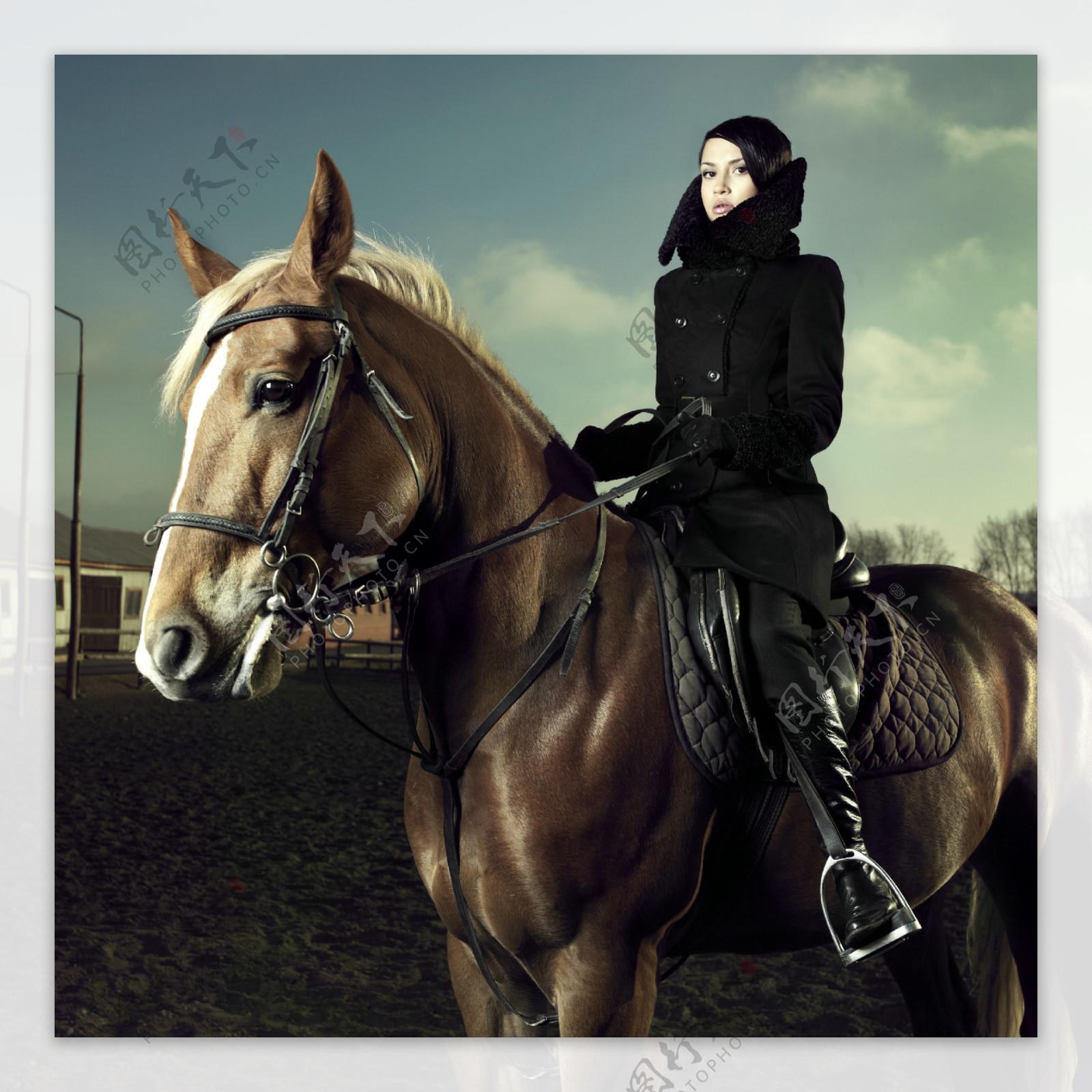 骑马的女孩摄影图__体育运动_文化艺术_摄影图库_昵图网nipic.com