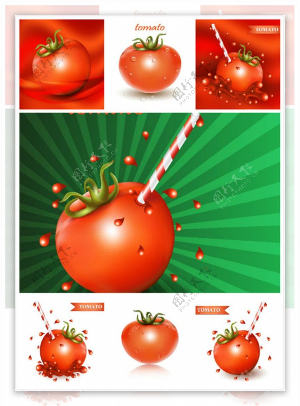 卡通番茄蔬菜