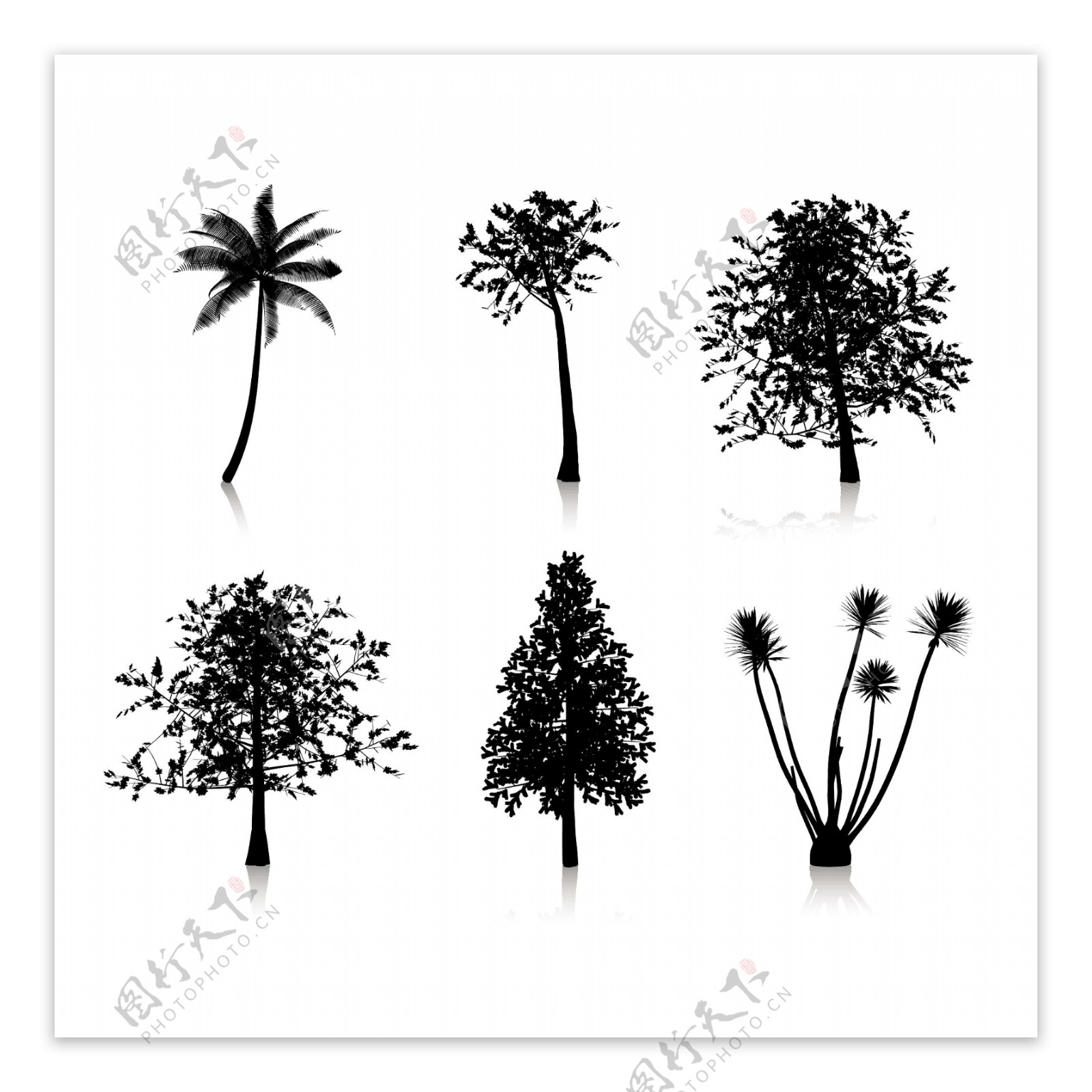 六种不同的树的剪影集