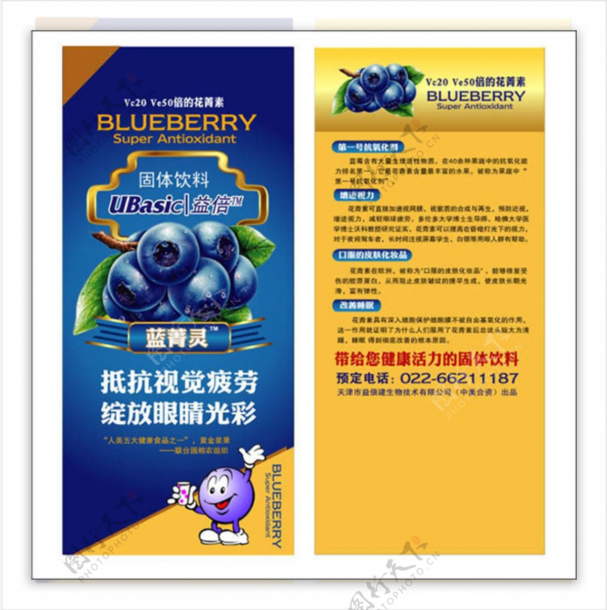蓝莓固体饮料DM