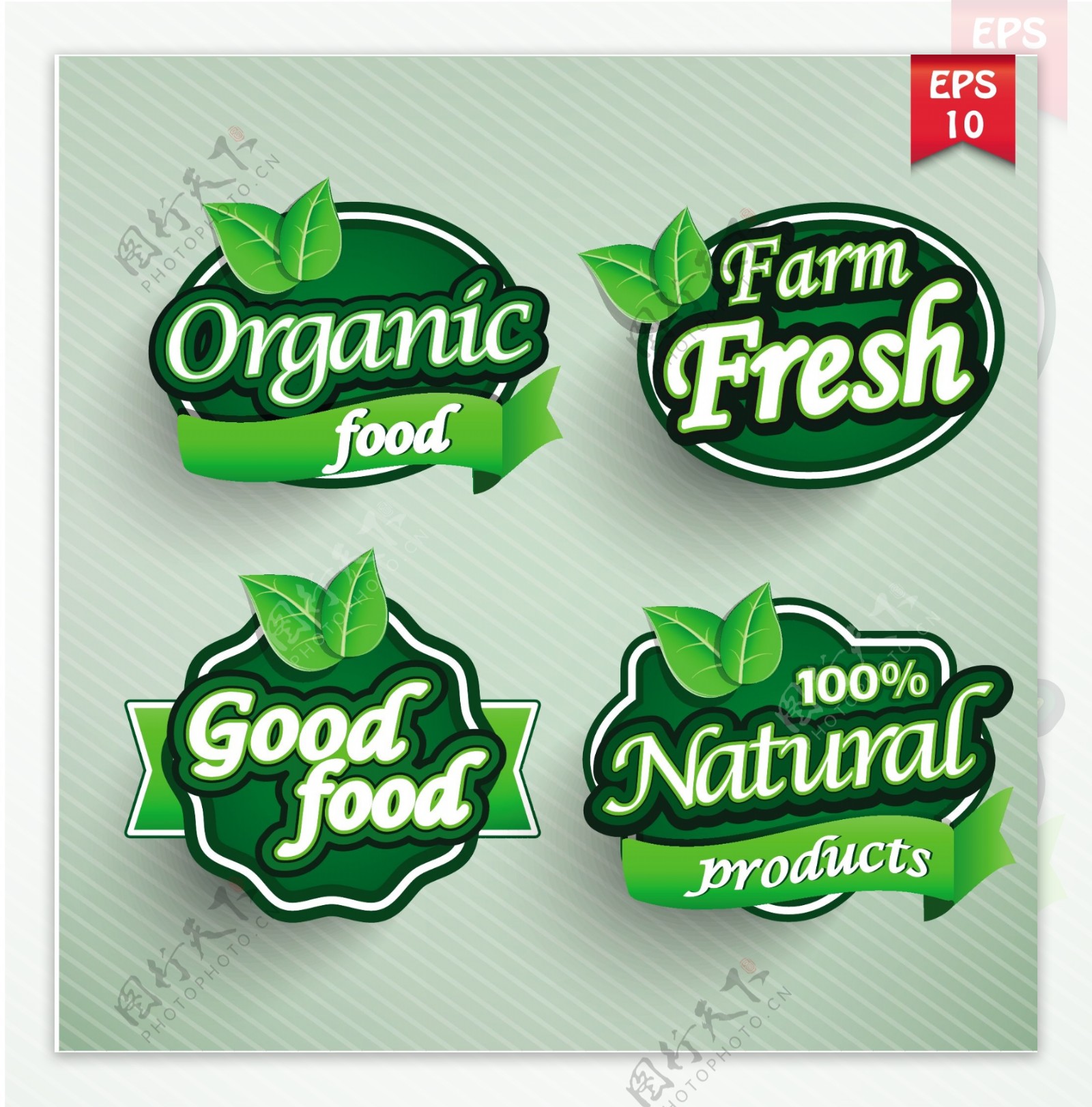 绿色食品标签设计矢量素材