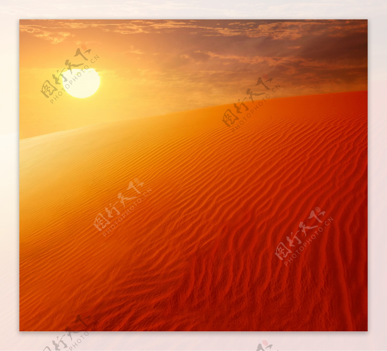 美丽沙漠夕阳风景