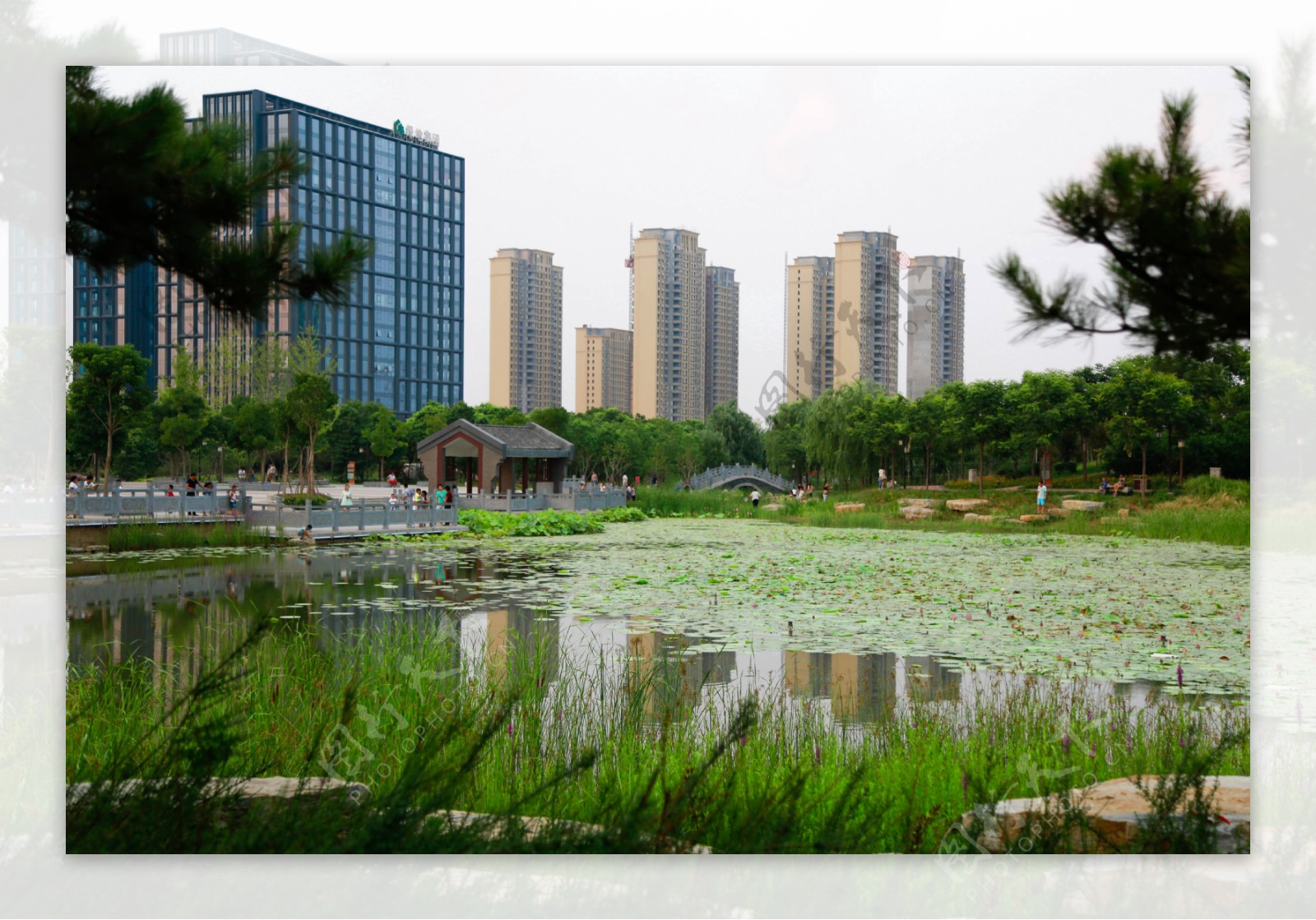 郑州南环公园景观图片